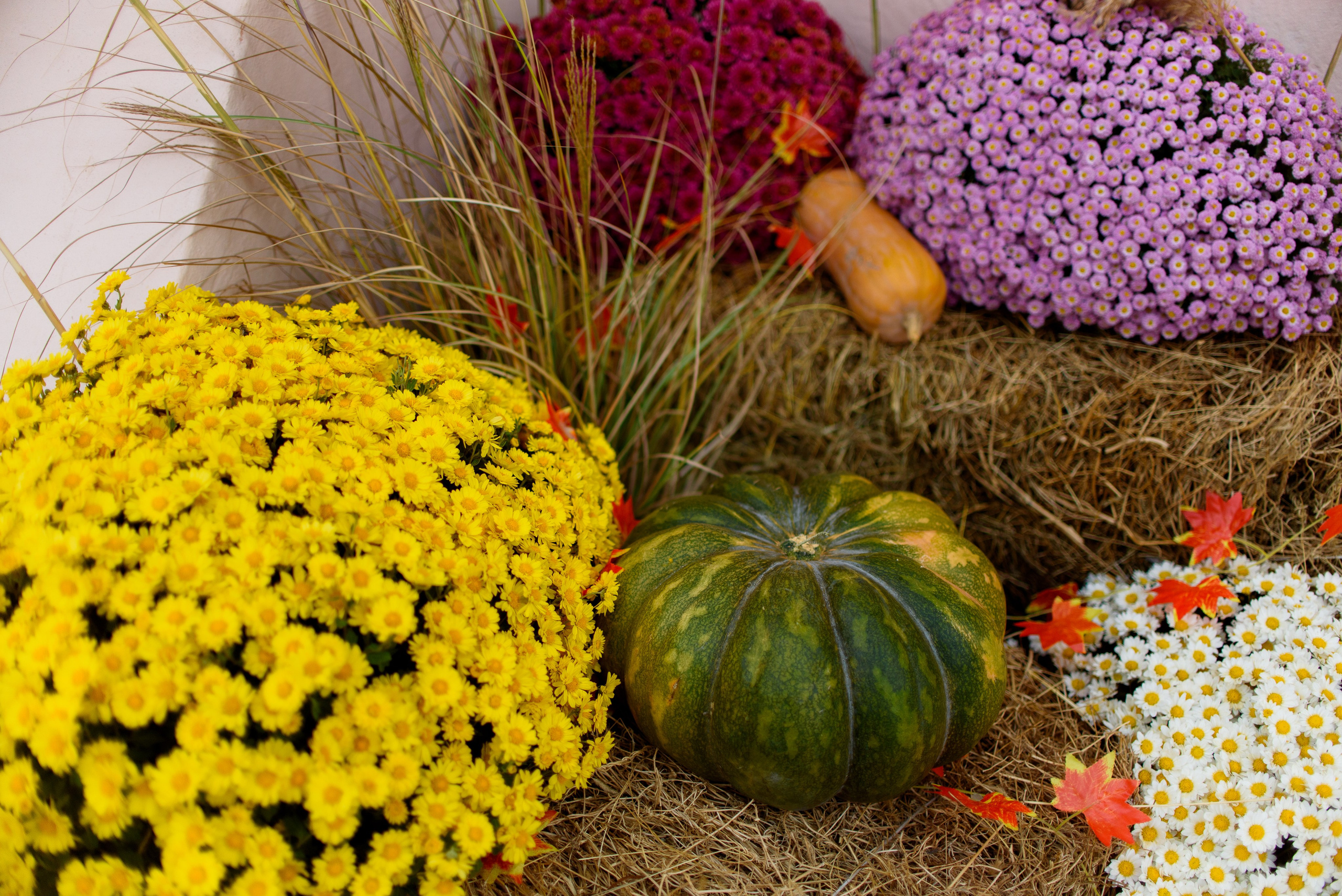 День памяти Казанской иконы Божьей Матери 4.11.2023. Семейный и свадебный фотограф в Феодосии и Коктебеле