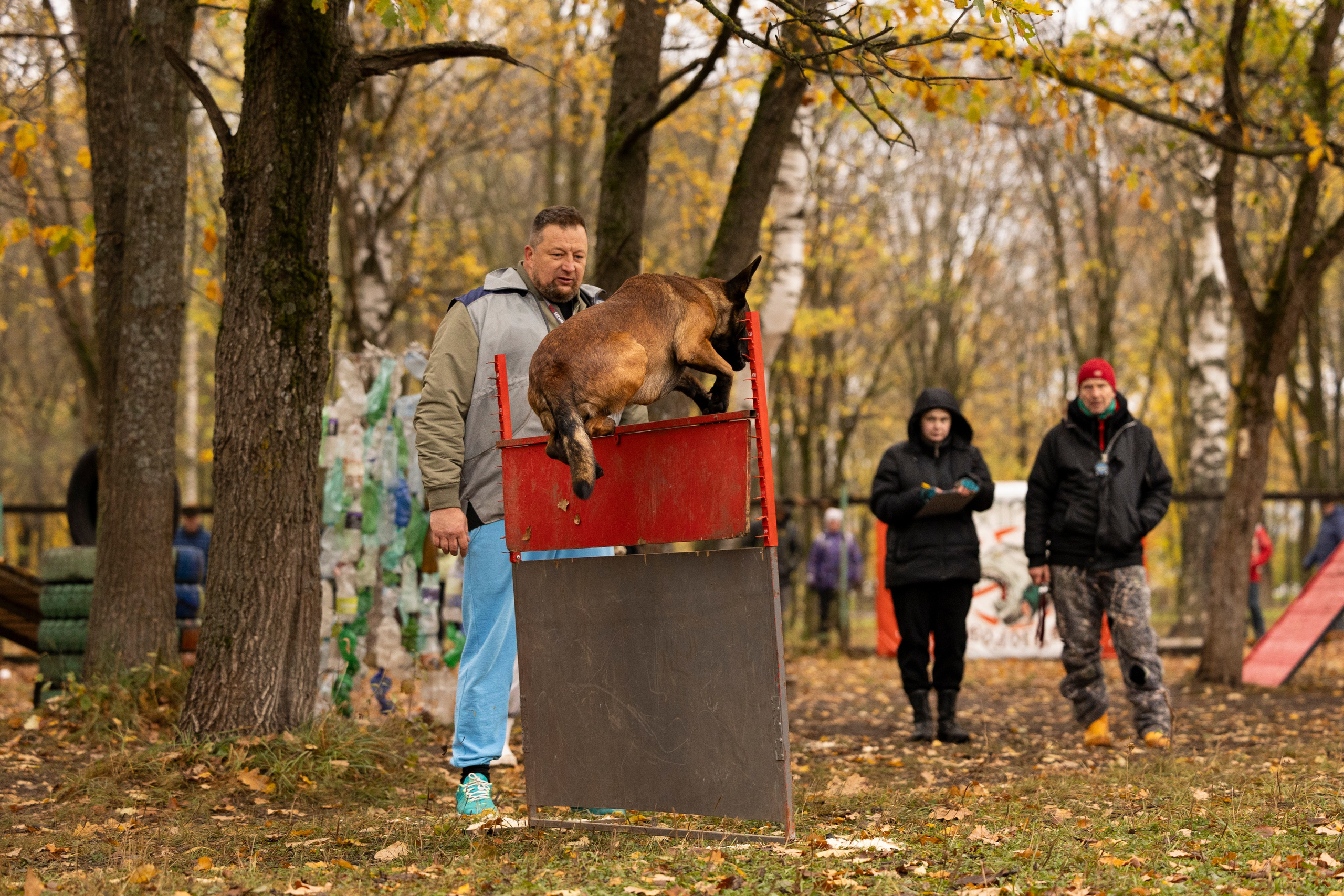 Соревнования по Мондьорингу г. Вологда. Фотограф-анималист Анна Маринич