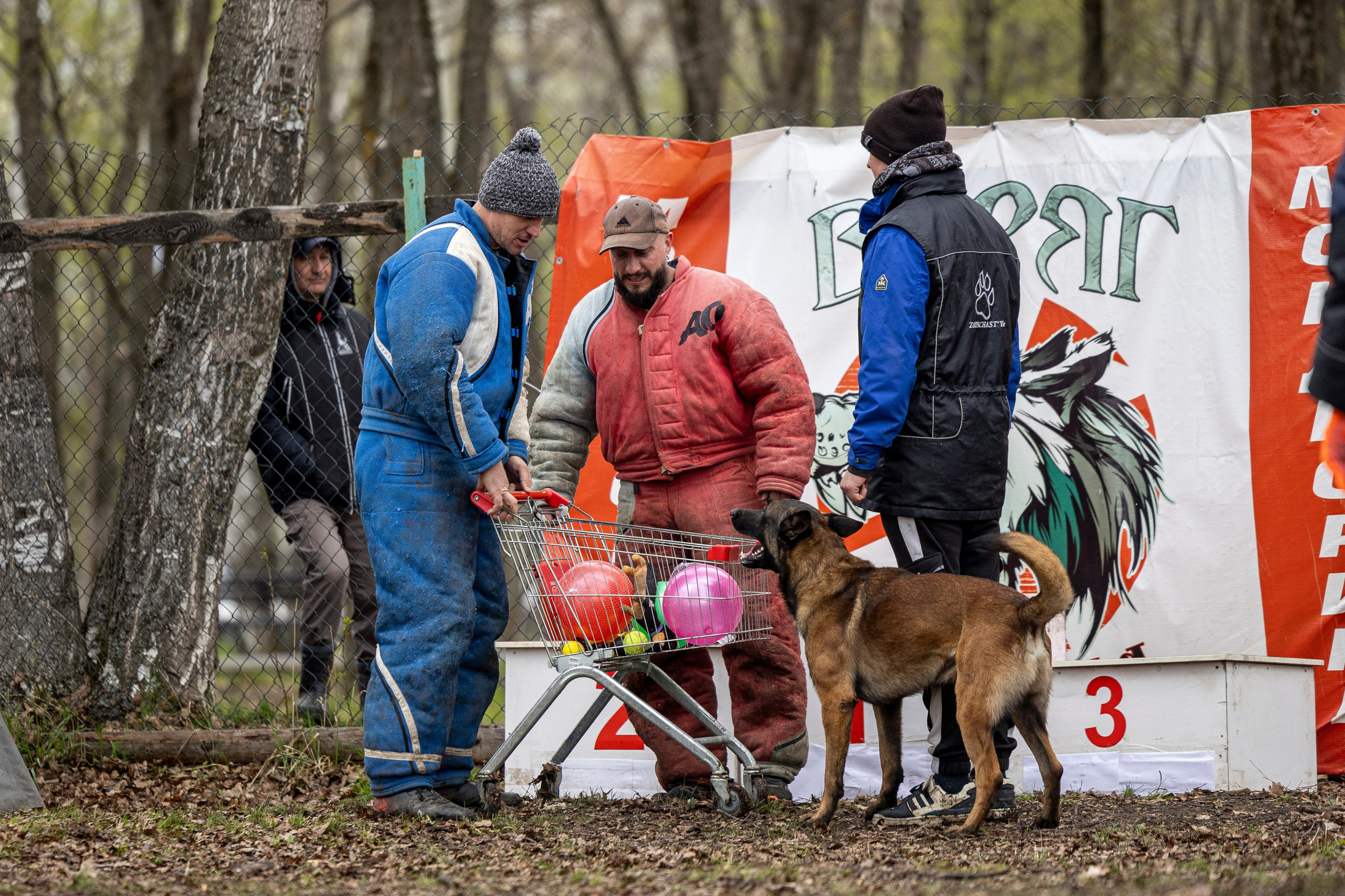 Квалификационные состязания по мондьорингу г. Вологда 11.05.24. Фотограф-анималист Анна Маринич
