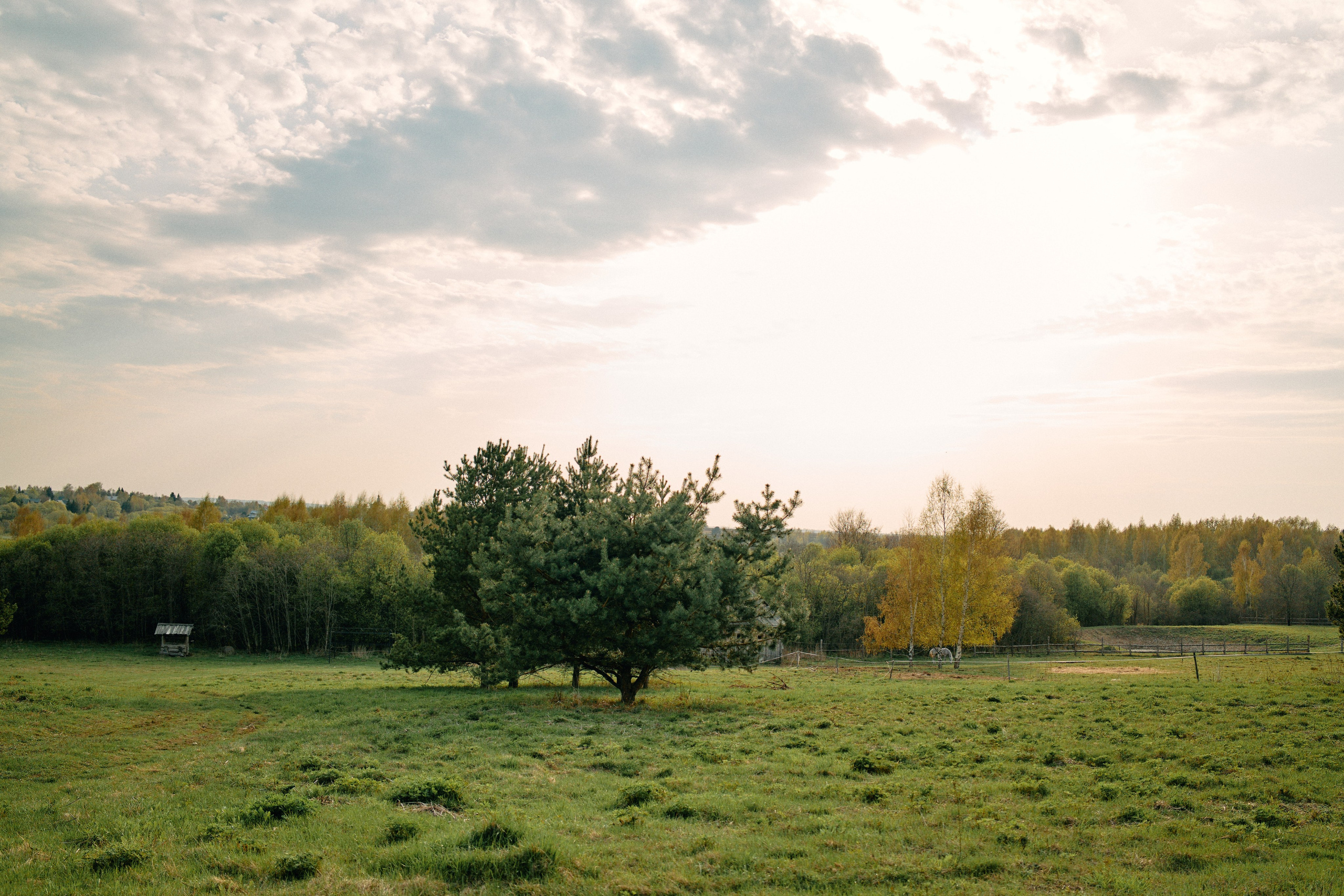 Бутик-отель Поле летом. Профессиональный Фотограф во Владимире, в Москве и в Суздале — Полина Романычева