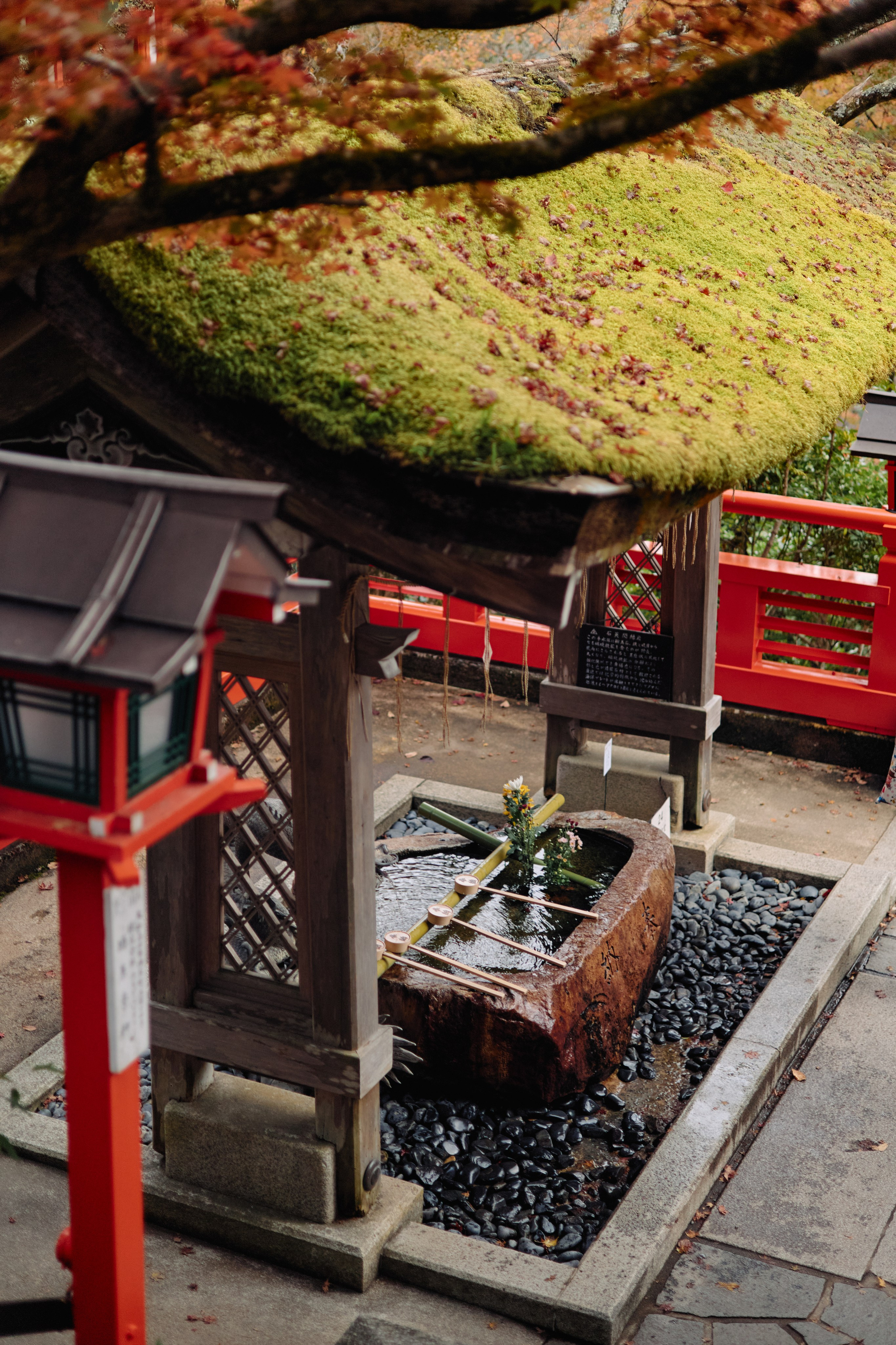 Япония. Профессиональный Фотограф во Владимире, в Москве и в Суздале — Полина Романычева