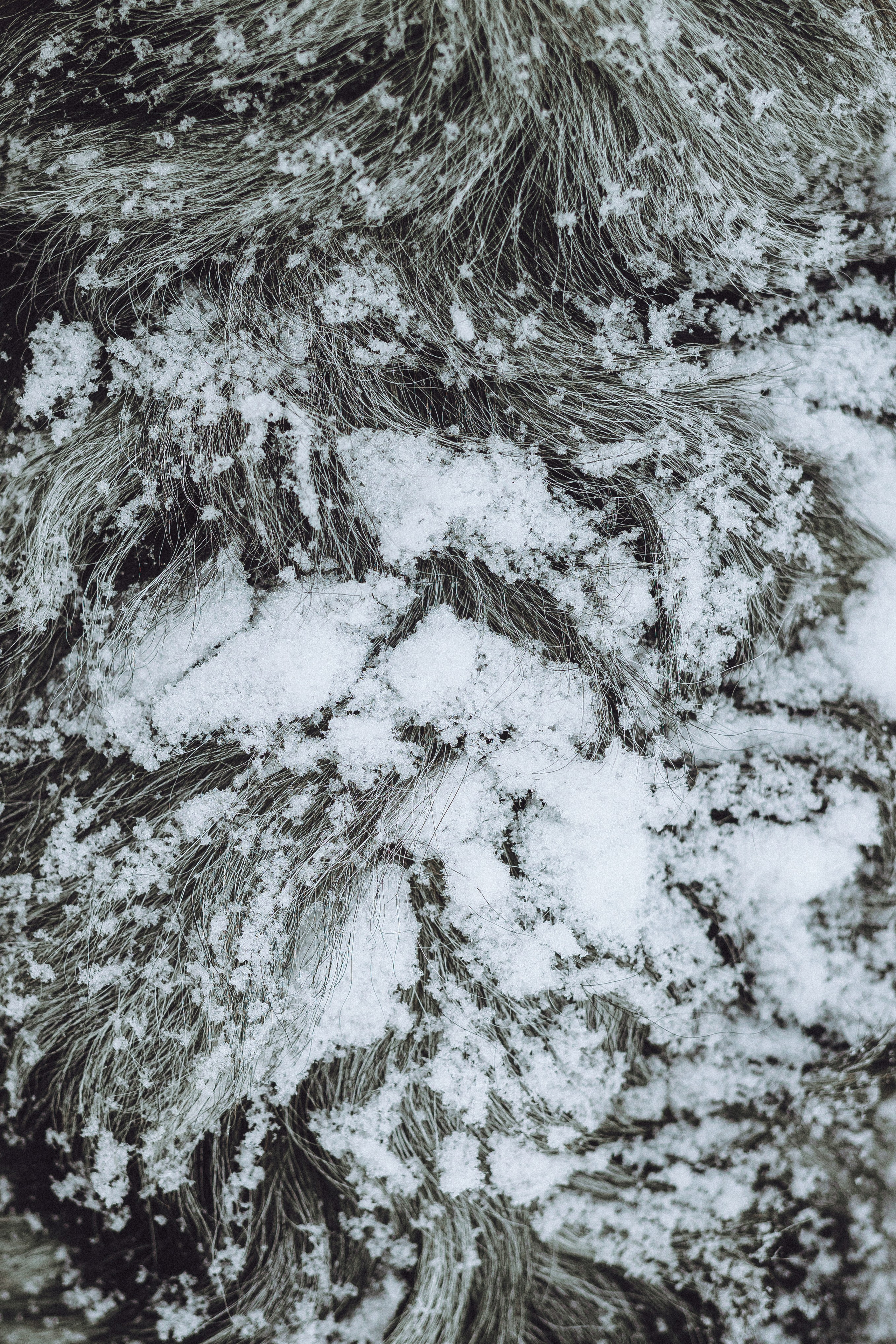 Фаня и ее семья