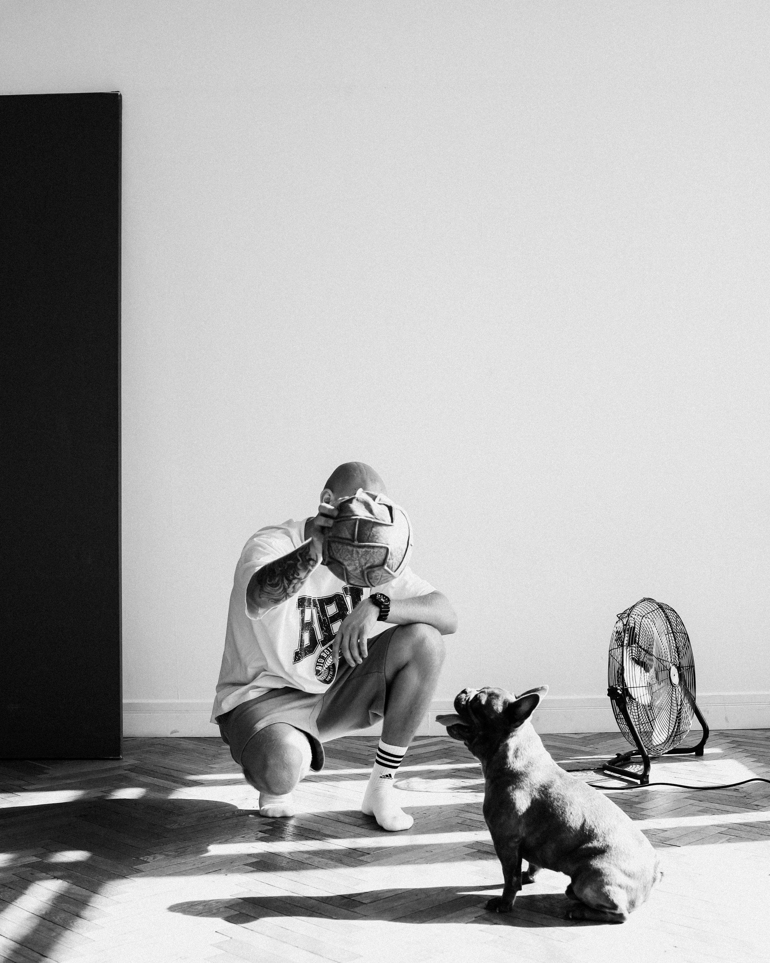 С хвостиками. Портретный фотограф в Москве. Фотосессии с собаками