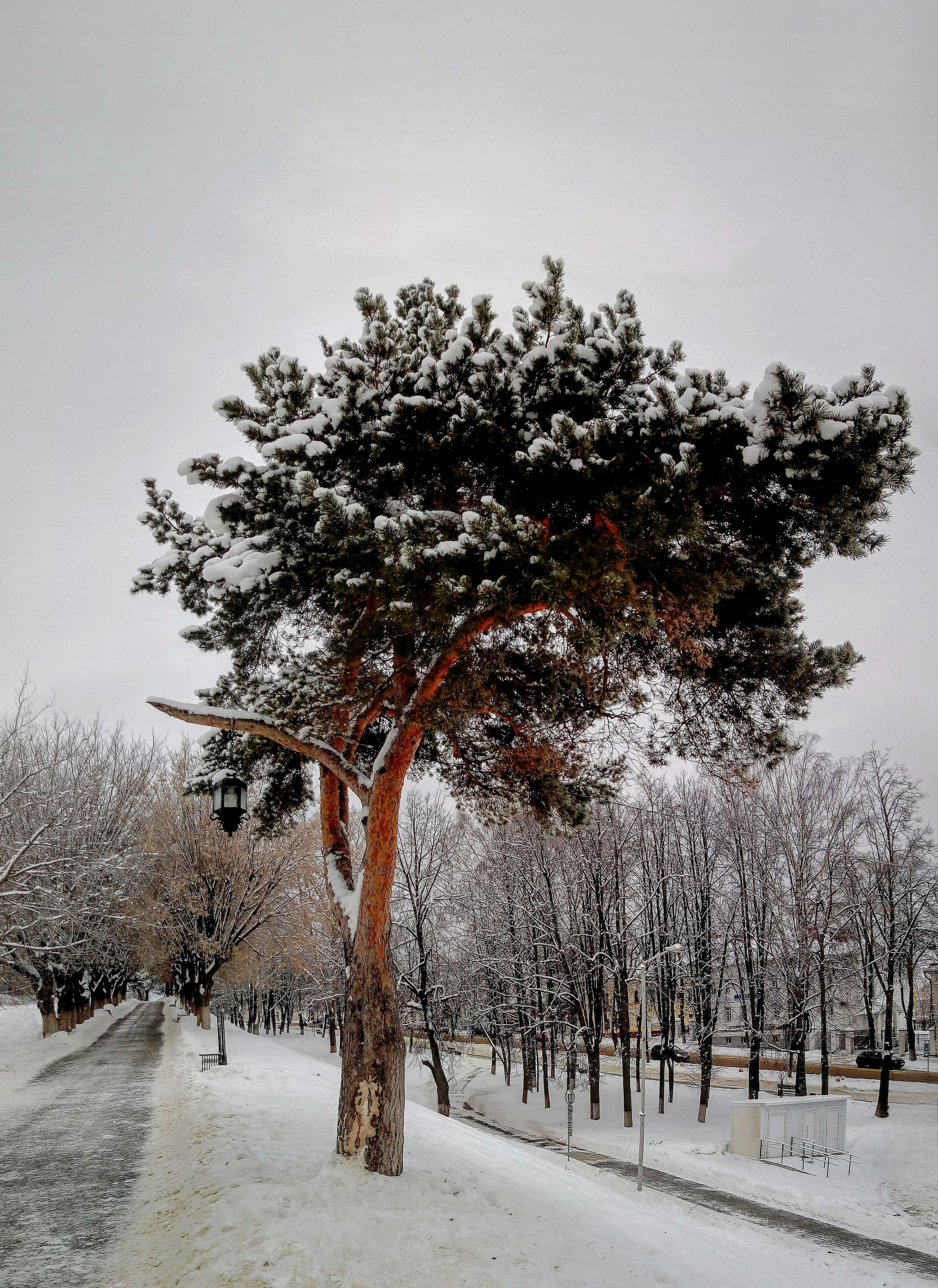 Nature. Надежда Козлова, фотограф, Санкт — Петербург