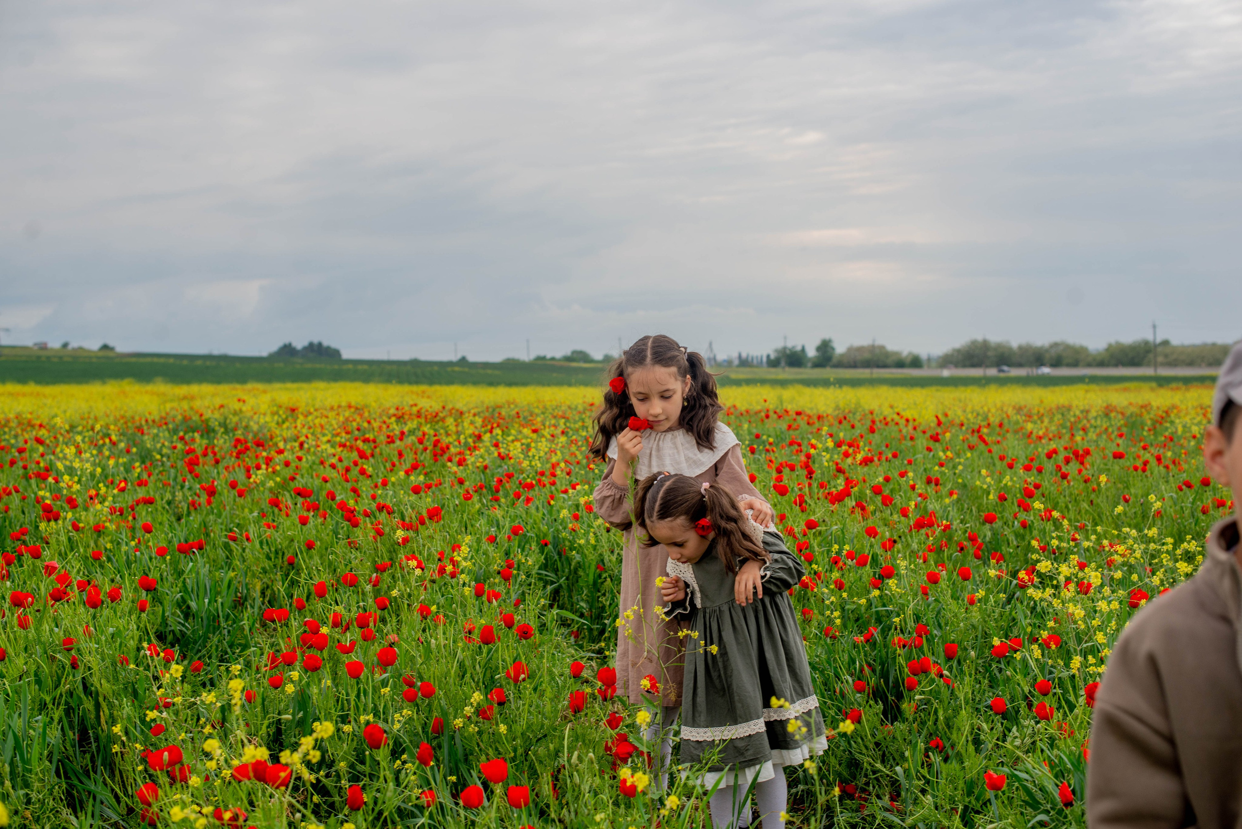 Traveller in Time Max Muse