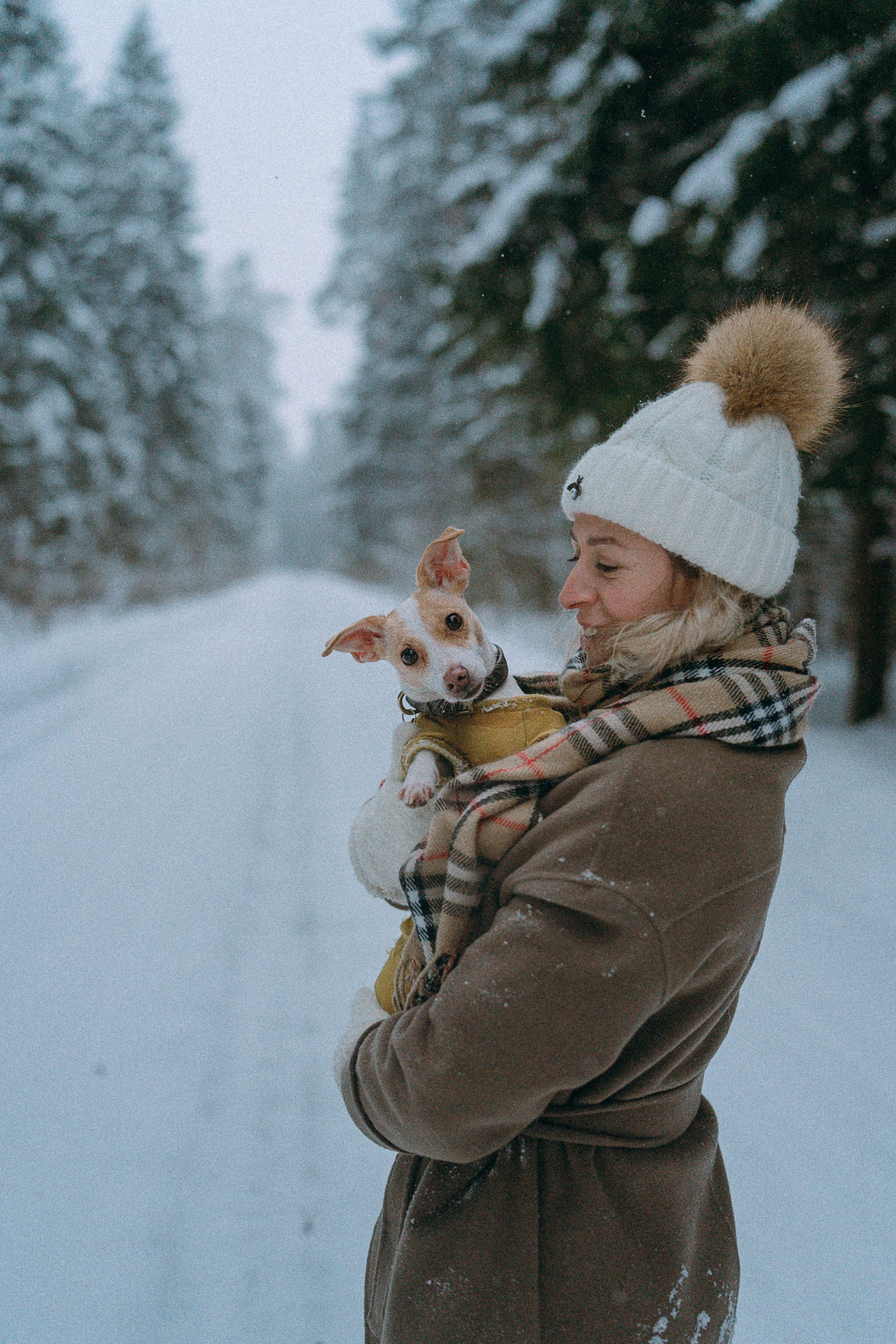 Алина, Ваниль и Элис. Фотограф анималист в Москве и Санкт-Петербурге Свиридова Анна