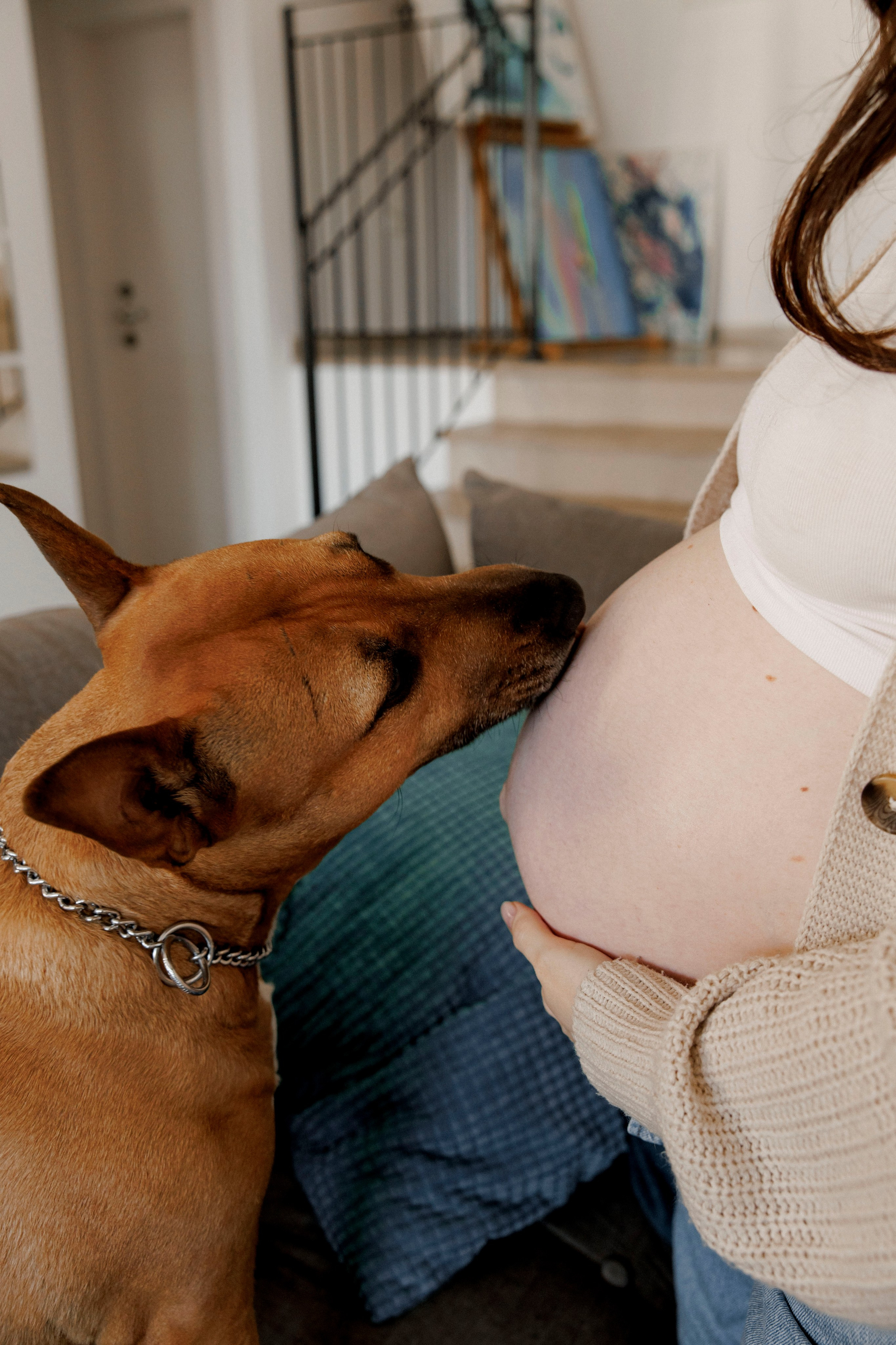 Pregnancy photoshoot (home/park/beach). Главная