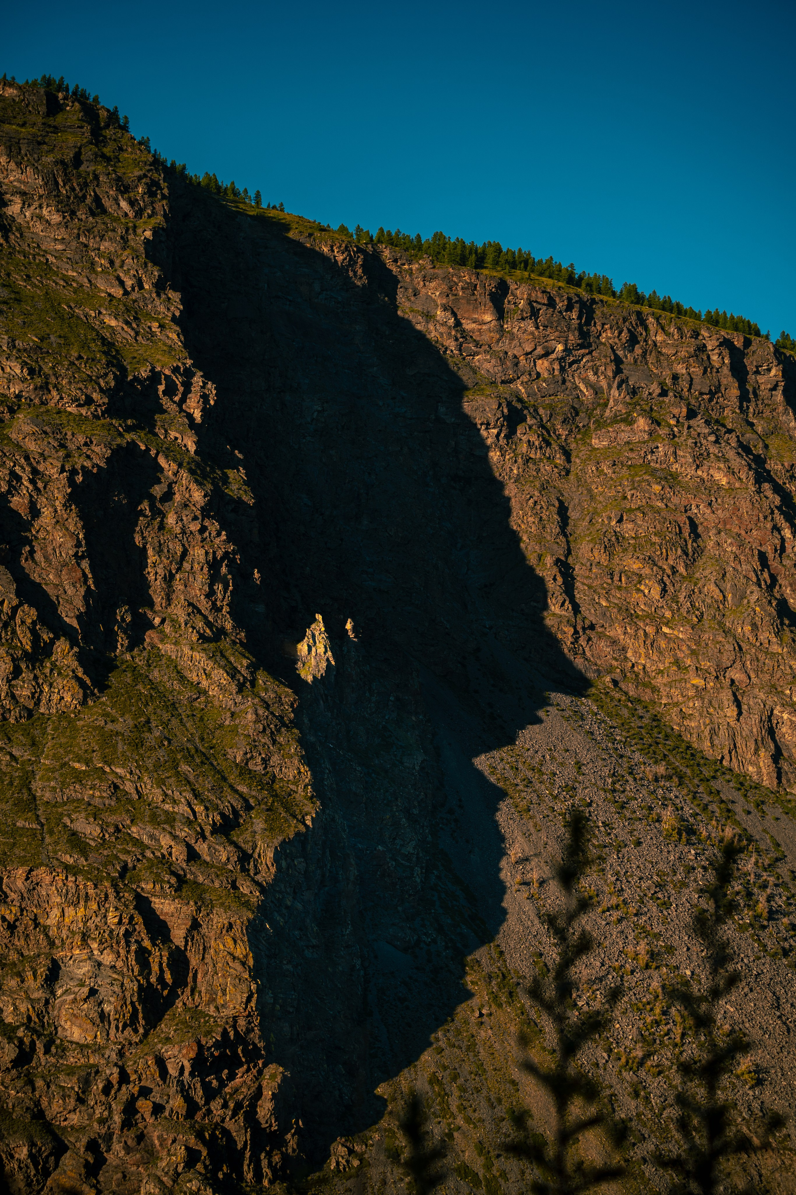 Алтай. Оператор и Фотограф в Санкт-Петербурге и Москве