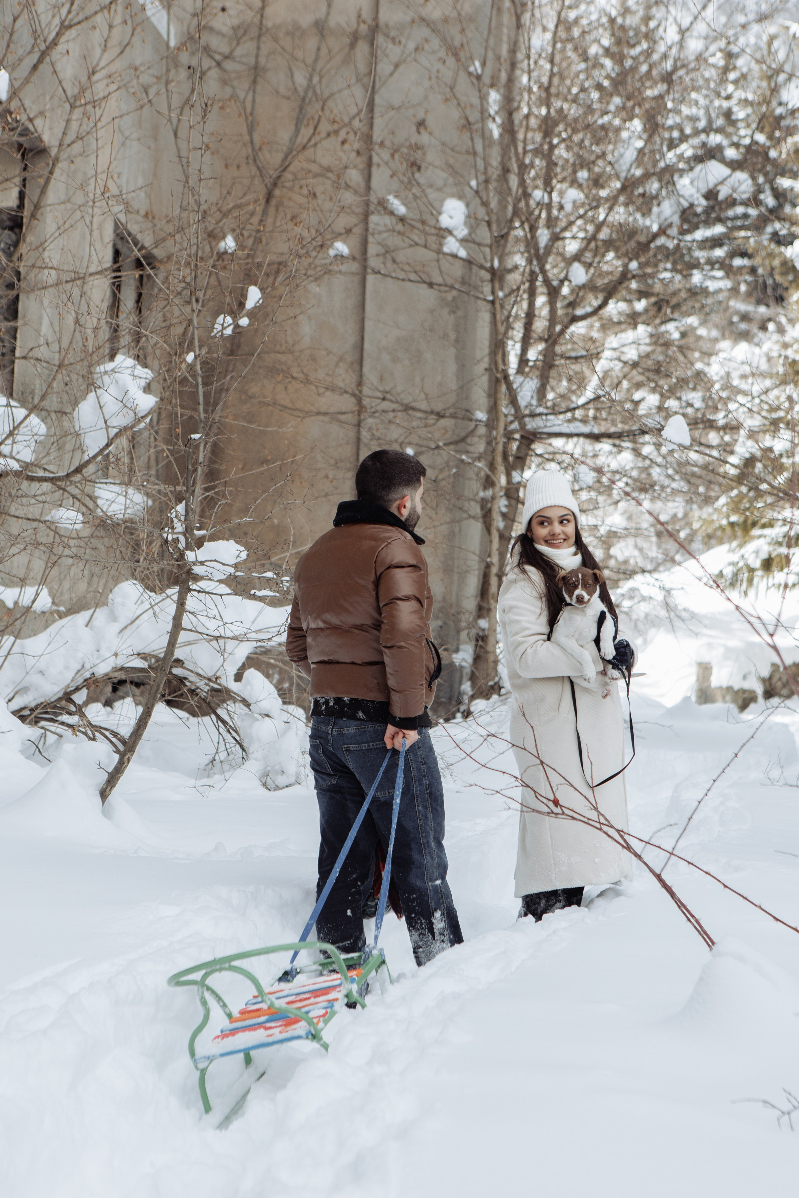 Снежинки. Գլխավոր
