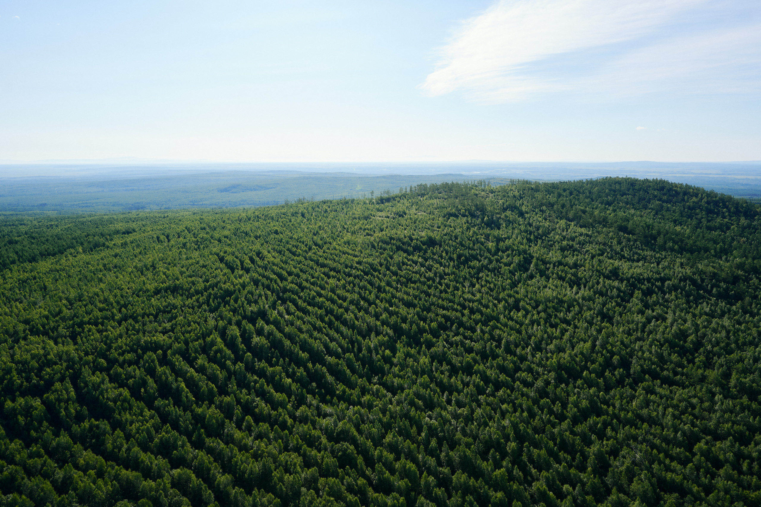 Soul. Фотограф Москва Даниил Прудников