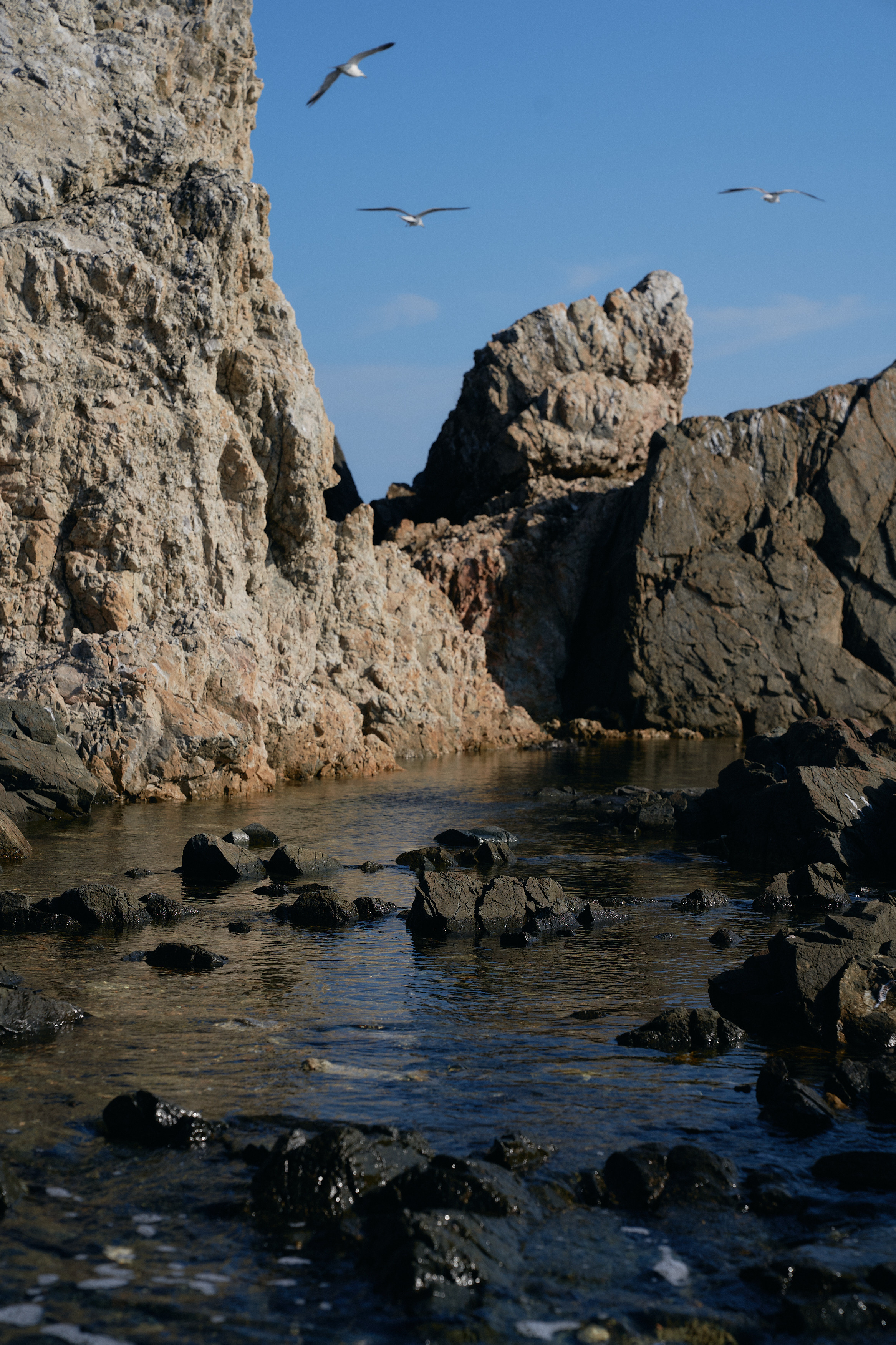 Soul. Фотограф Москва Даниил Прудников