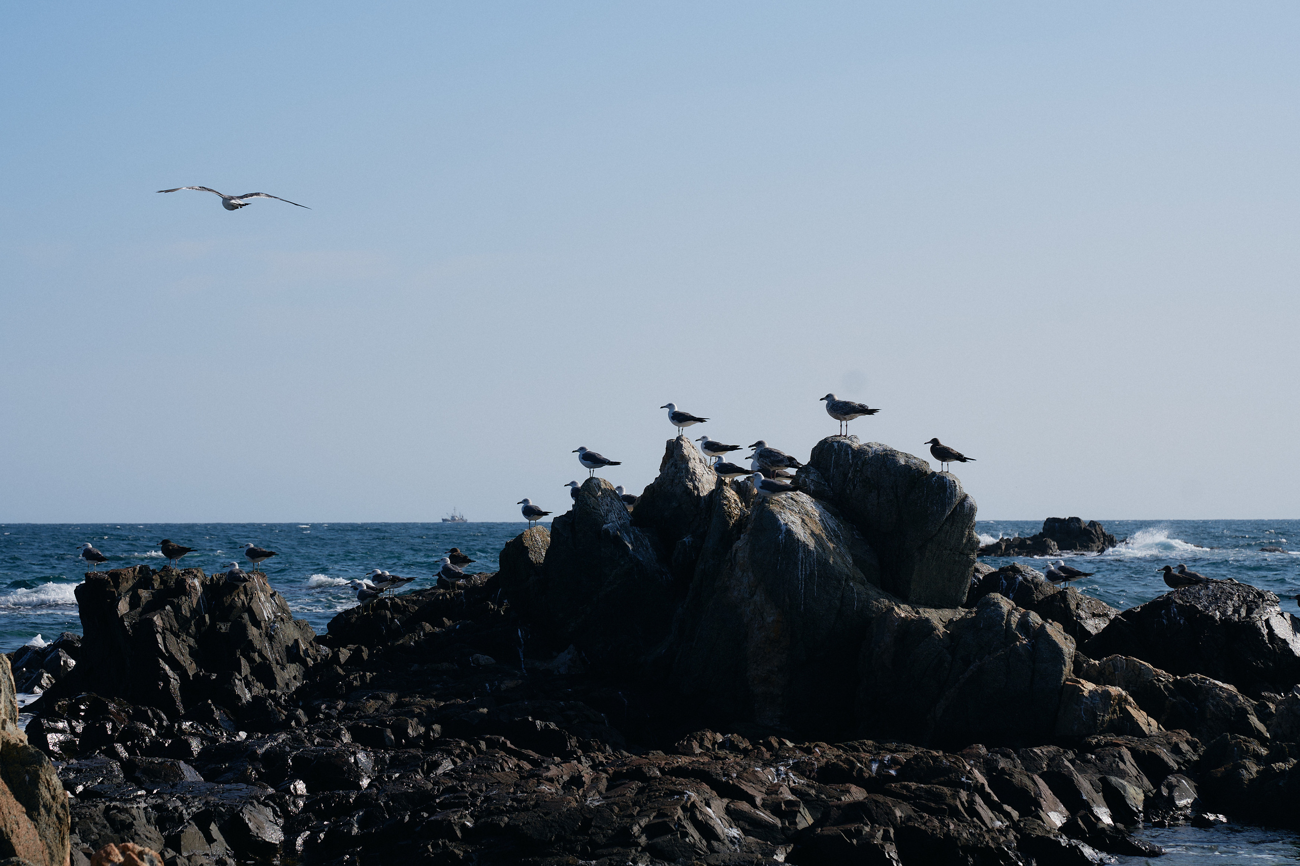 Soul. Фотограф Москва Даниил Прудников