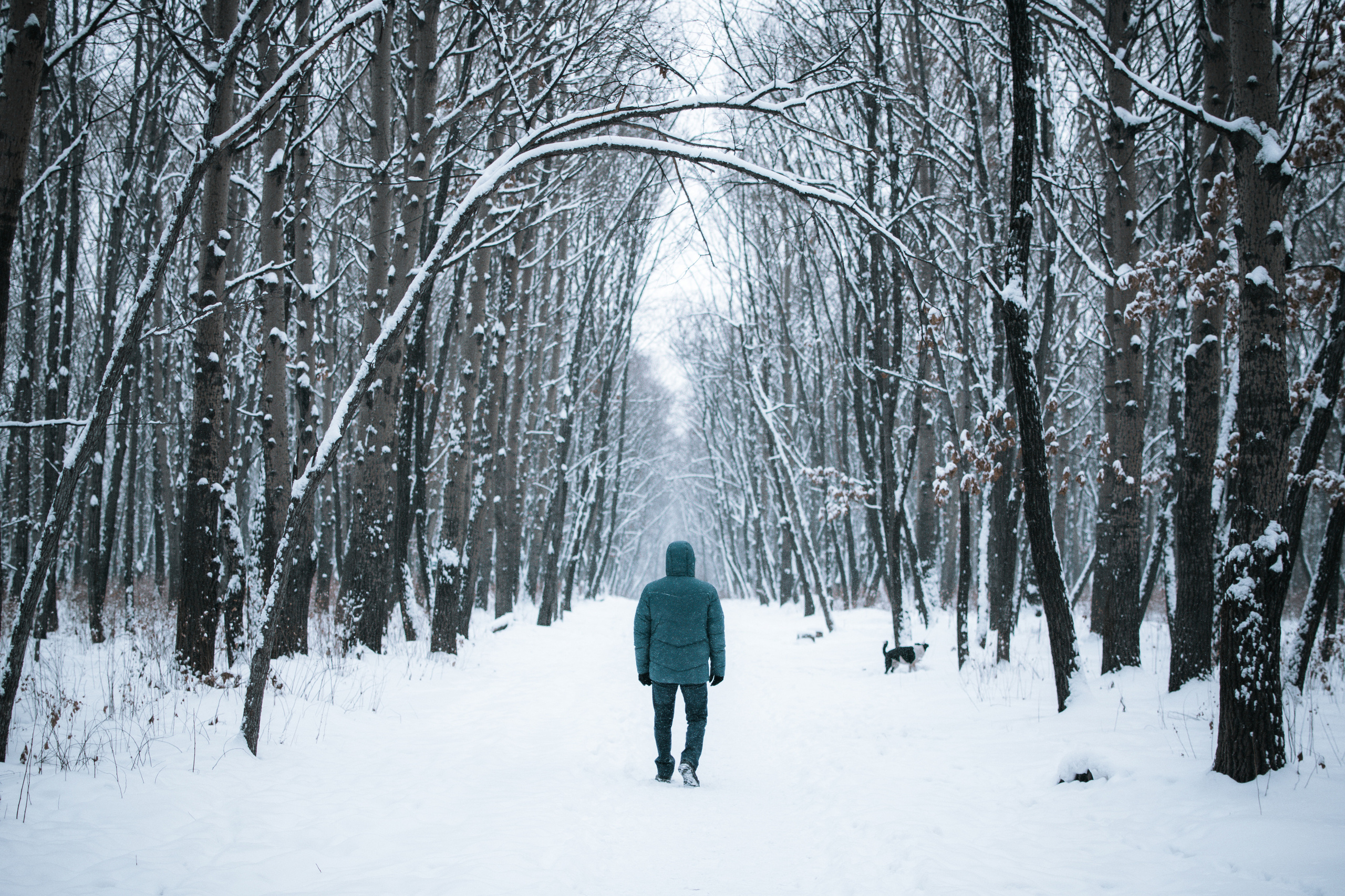 Soul. Фотограф Москва Даниил Прудников