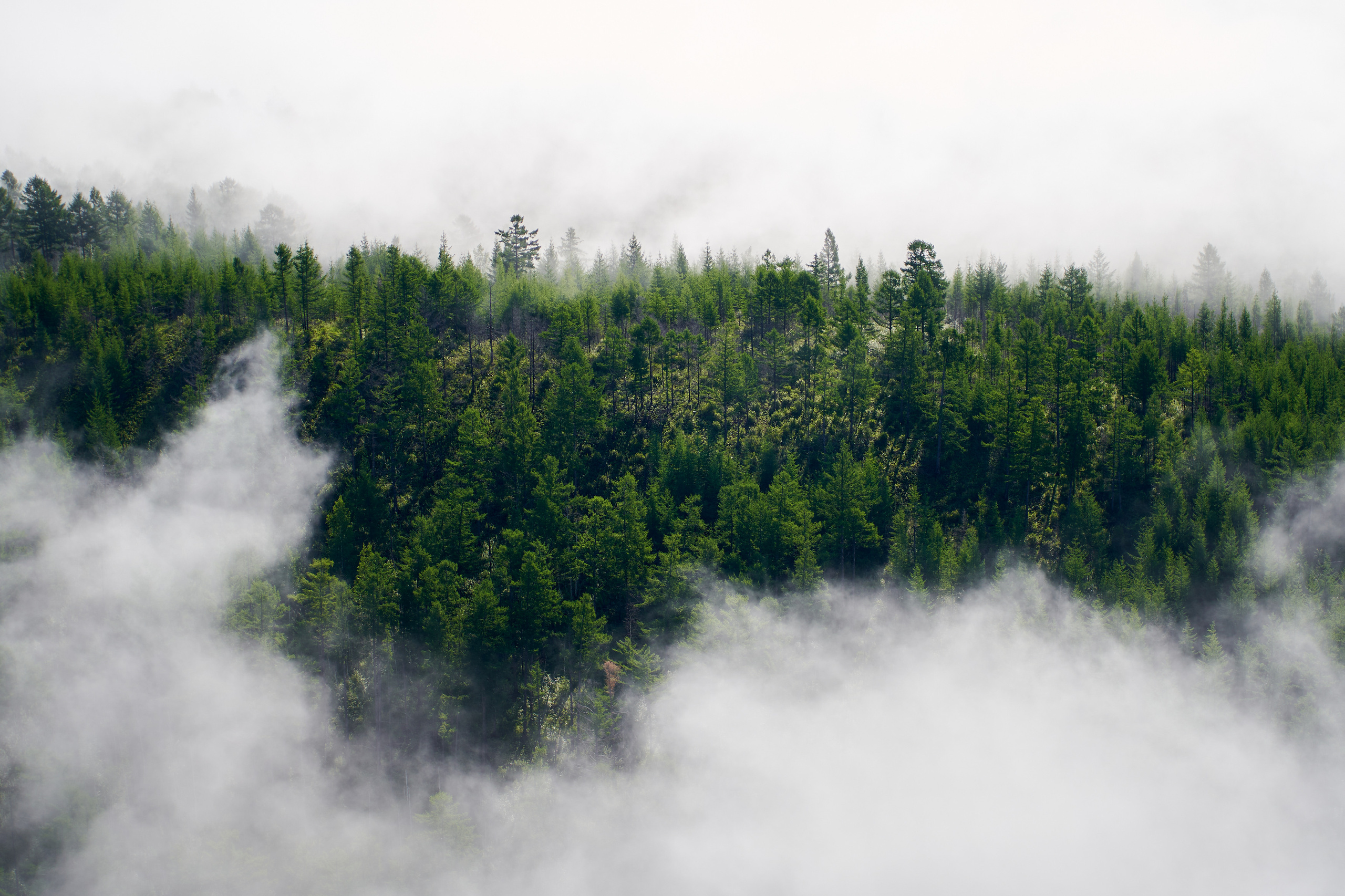 Soul. Фотограф Москва Даниил Прудников