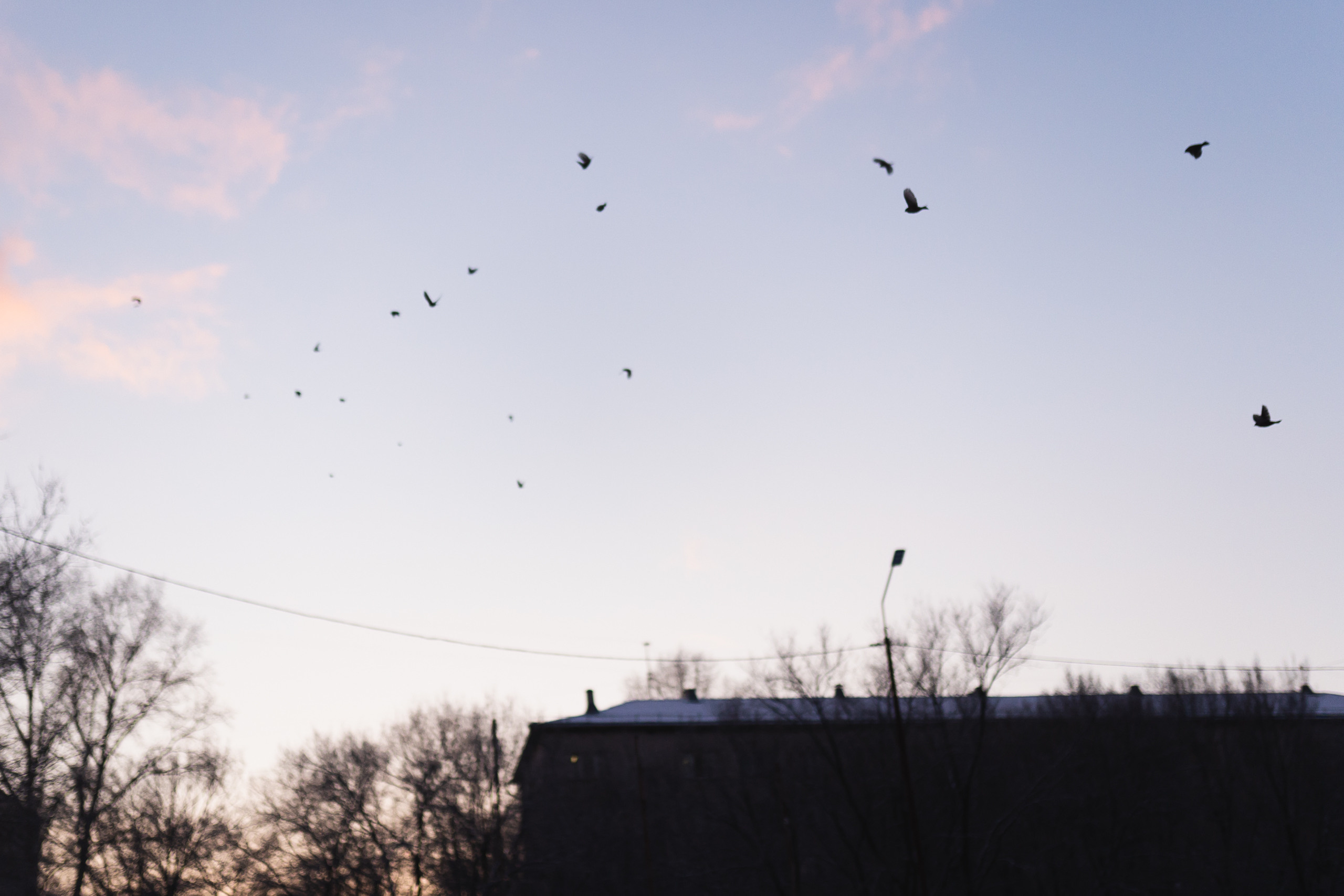 Soul. Фотограф Москва Даниил Прудников