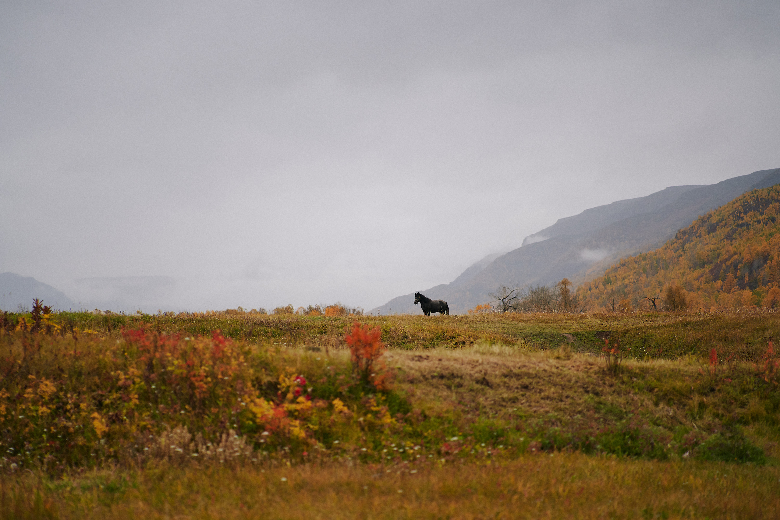 Soul. Фотограф Москва Даниил Прудников