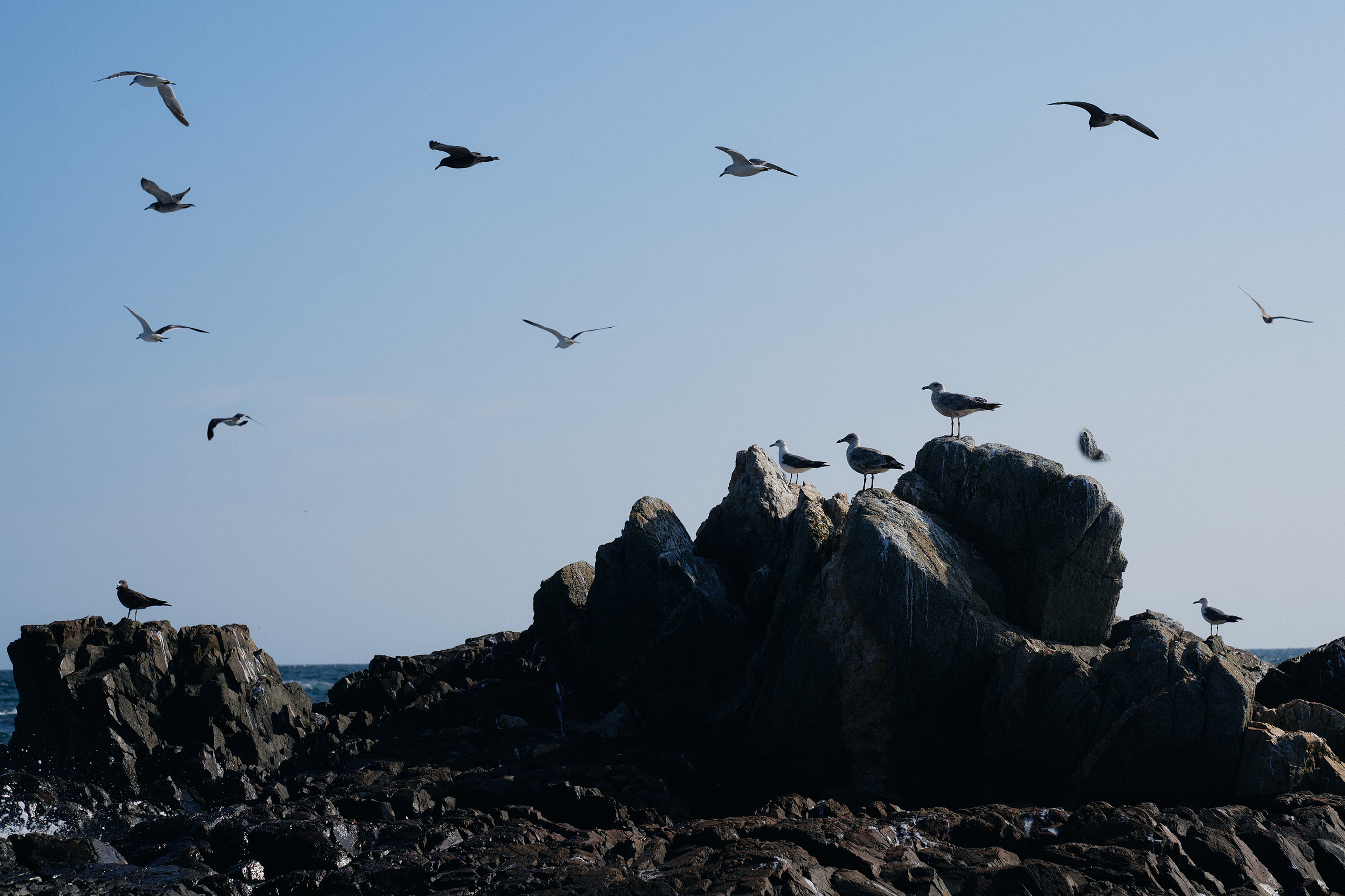 Soul. Фотограф Москва Даниил Прудников