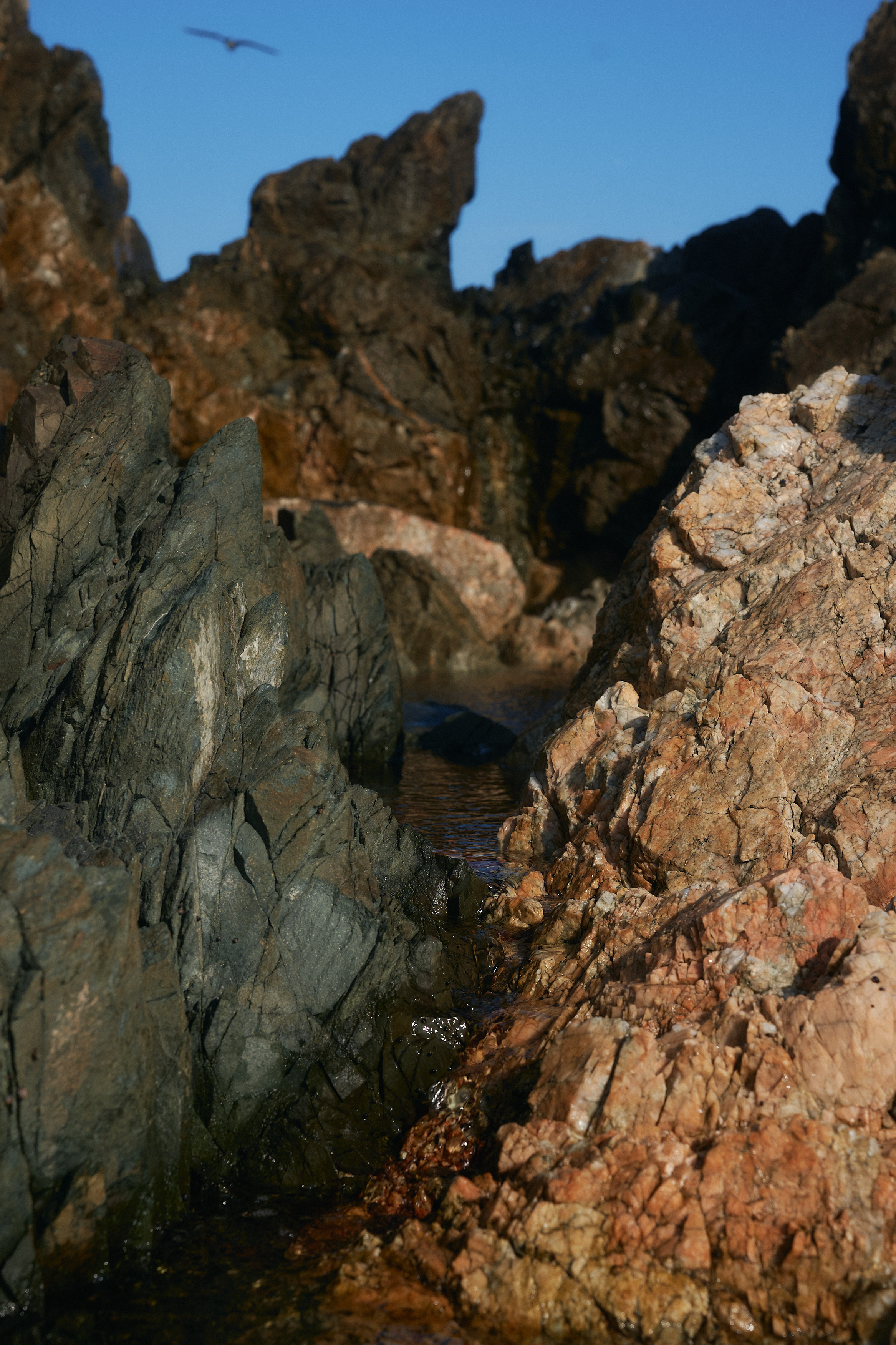 Soul. Фотограф Москва Даниил Прудников