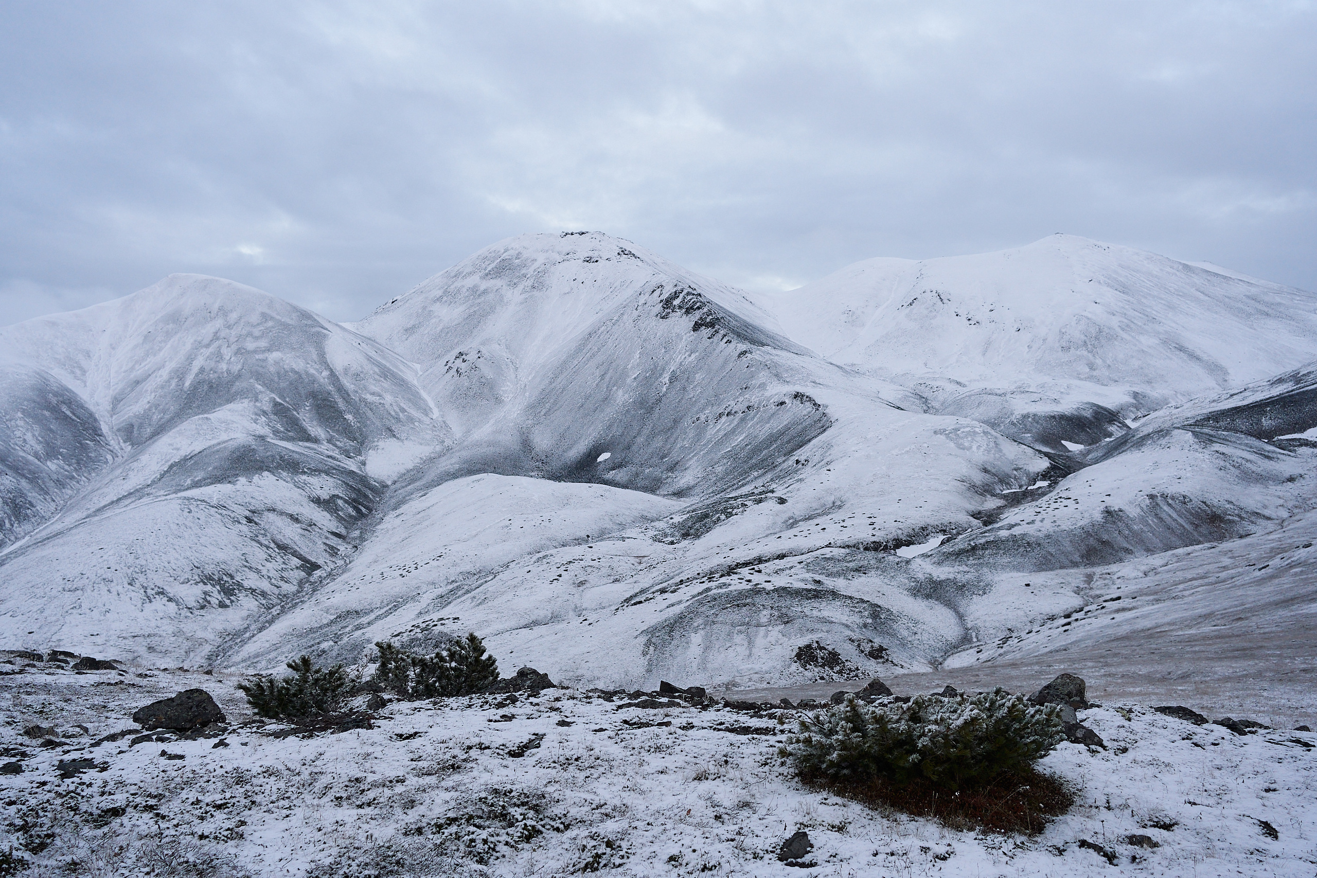 Soul. Фотограф Москва Даниил Прудников