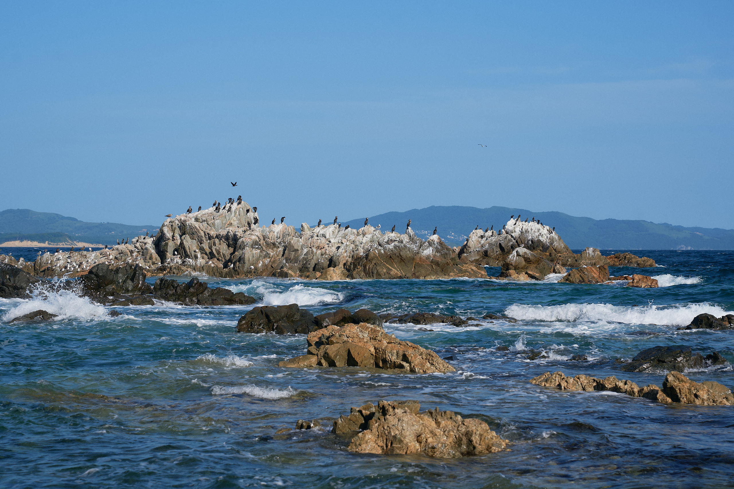 Soul. Фотограф Москва Даниил Прудников