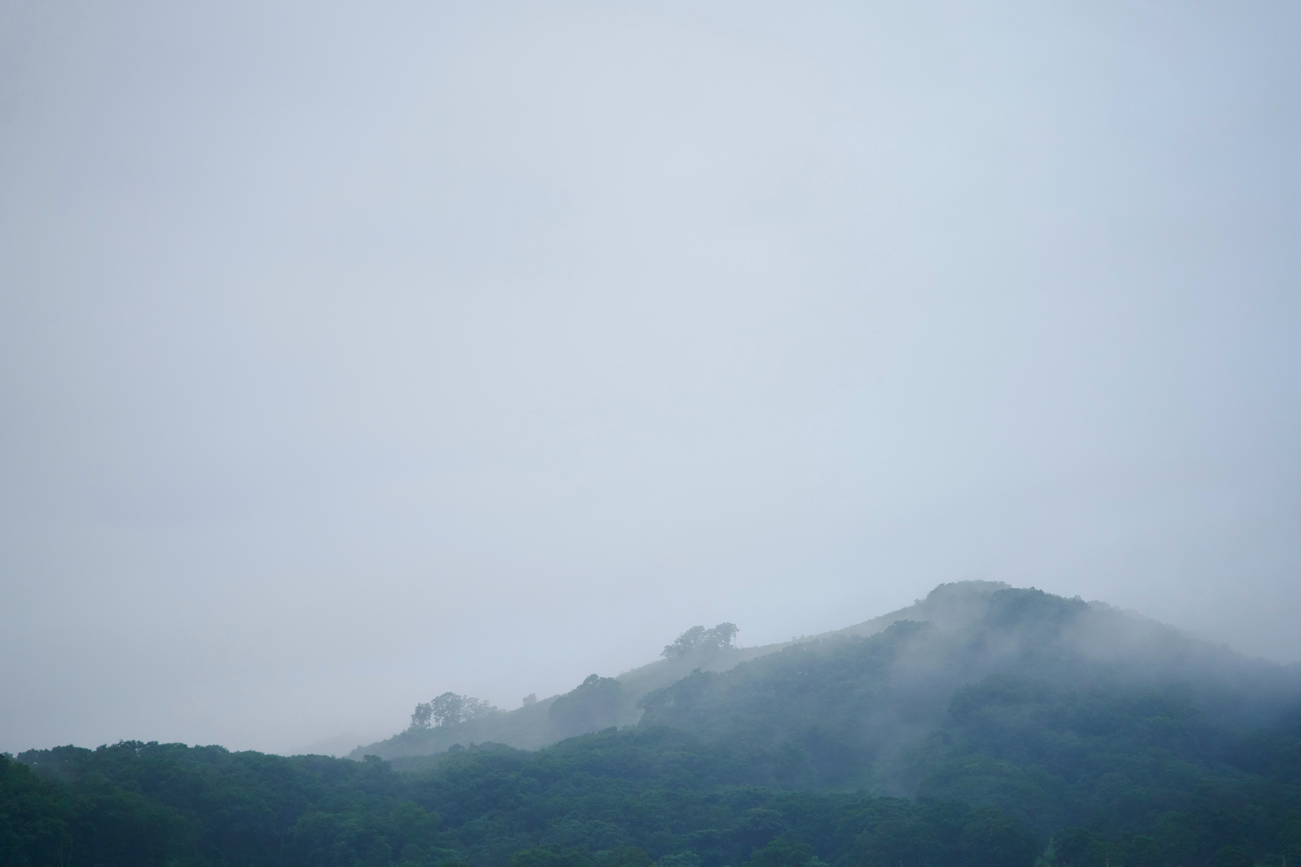 Soul. Фотограф Москва Даниил Прудников