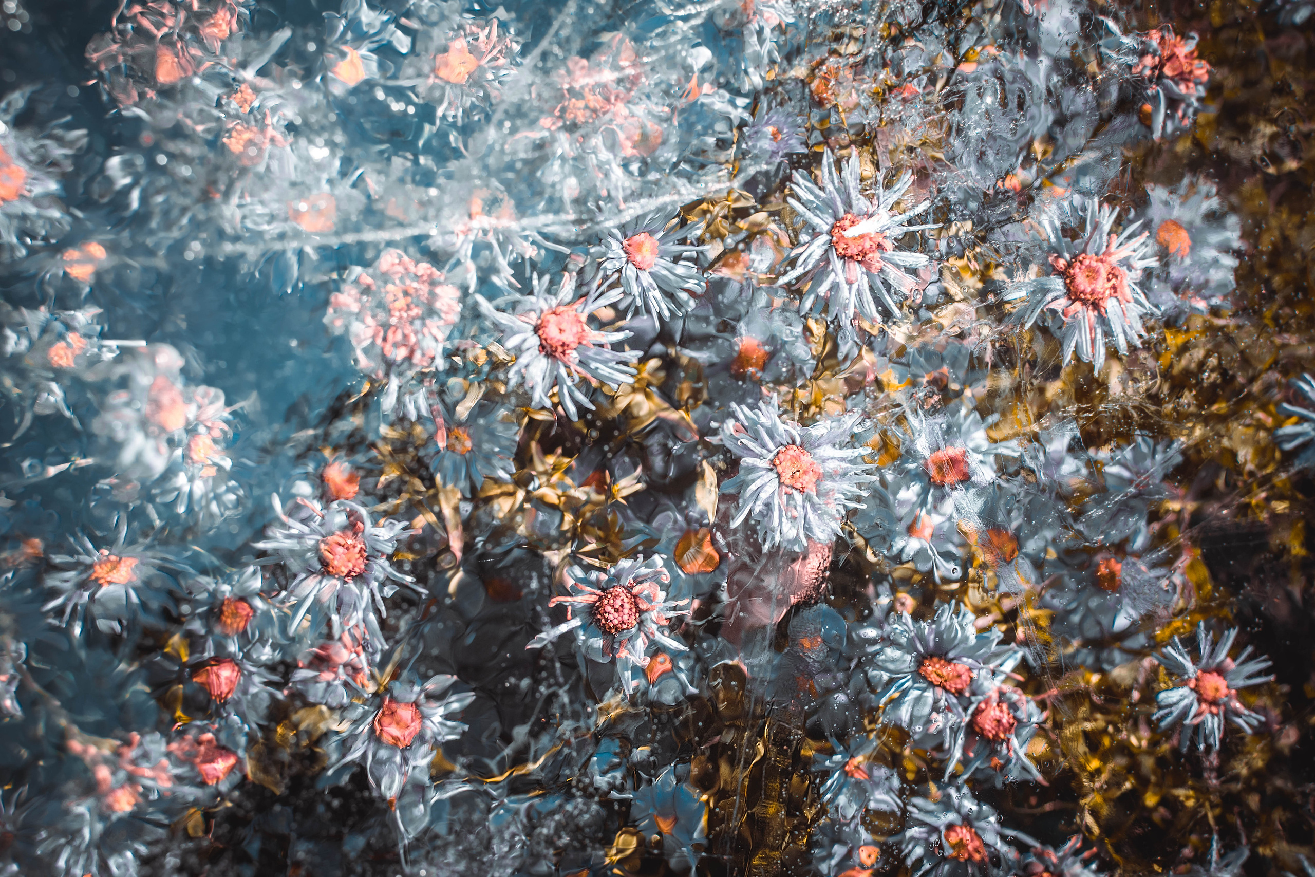 Soul. Фотограф Москва Даниил Прудников