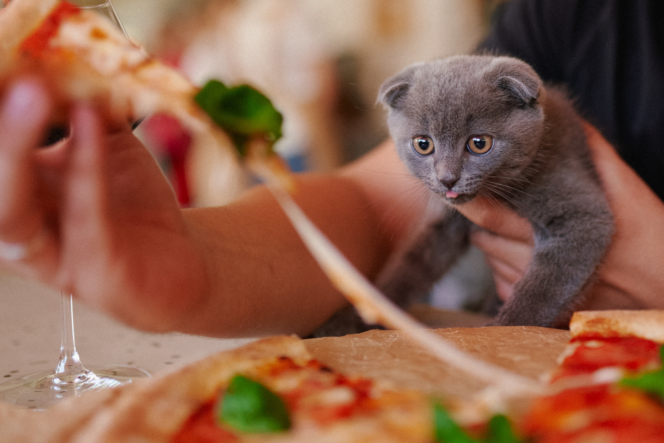 Soul. Фотограф Москва Даниил Прудников