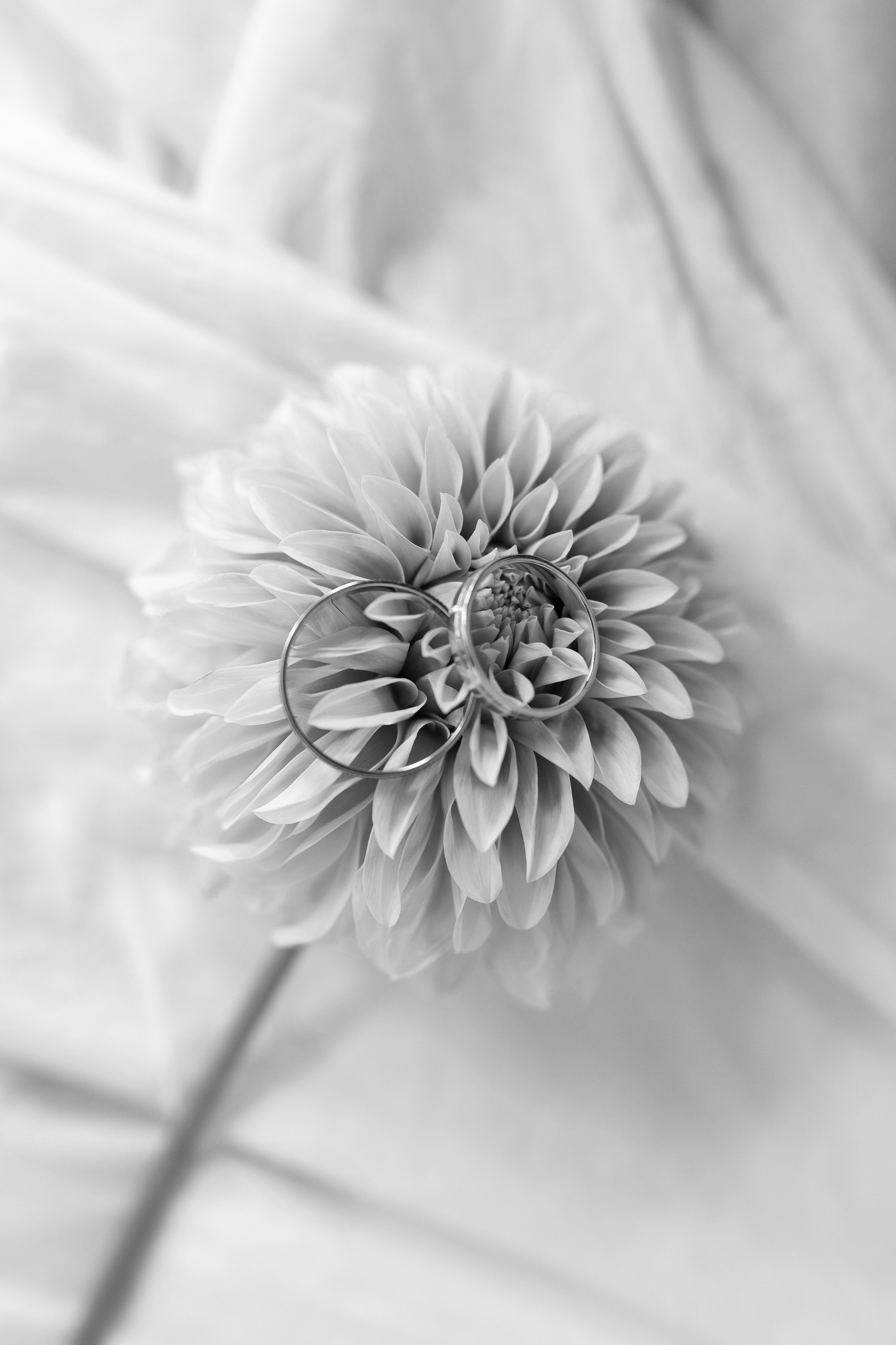 Одним июльским днем. Анастасия Безуглова- свадебный фотограф в Таганроге