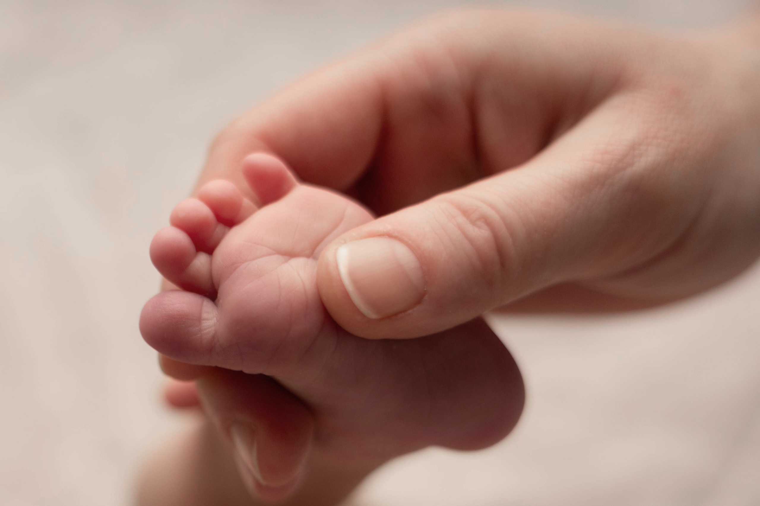Newborn. Семейный и детский фотограф в Санкт-Петербурге, Мурино, Всеволожске Тропина Анна