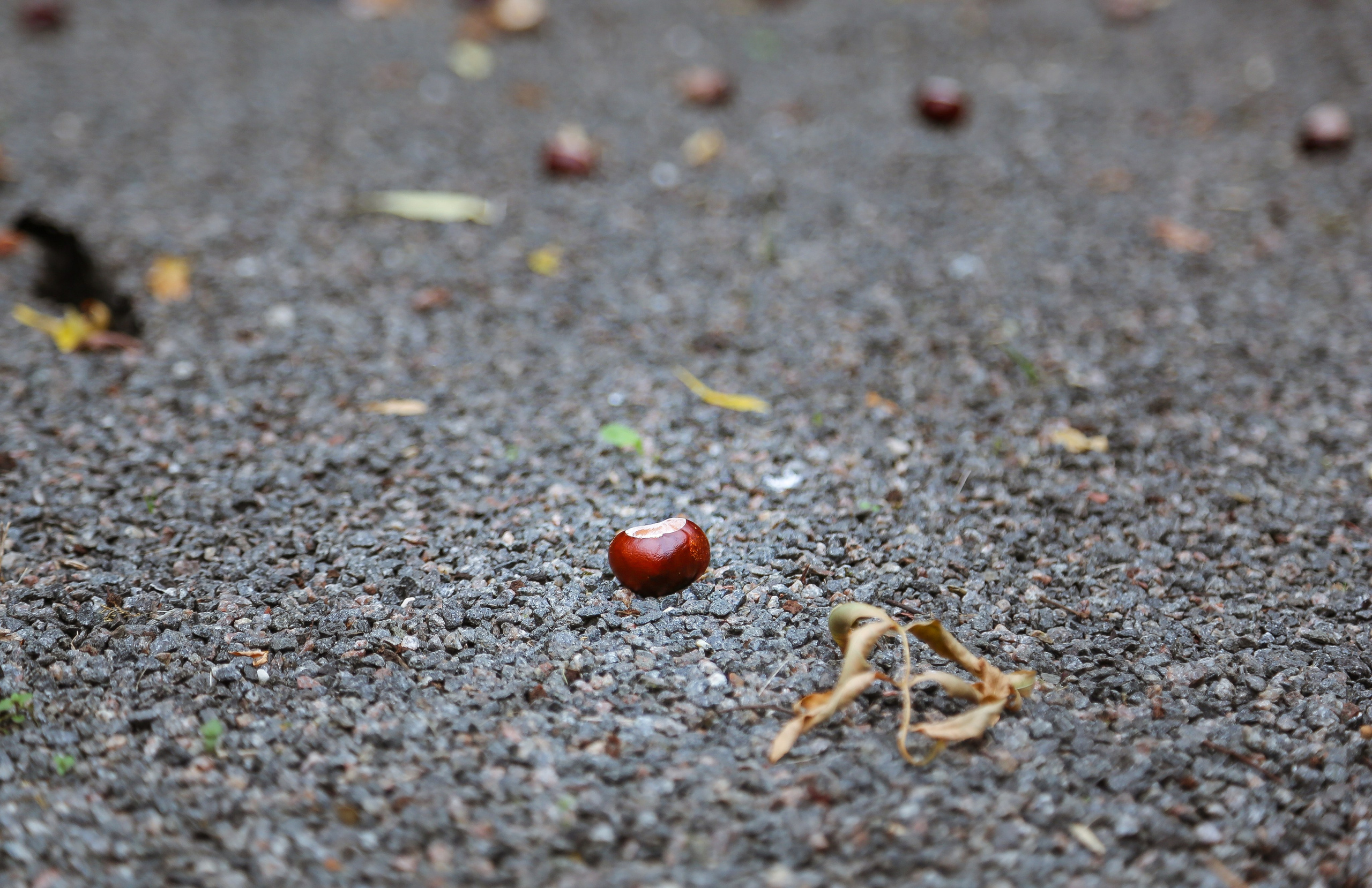 Одна на всех — минская «Яма». Дарья Письменюк / Darya Leitstern — фотограф, музыкант, журналист, путешественник