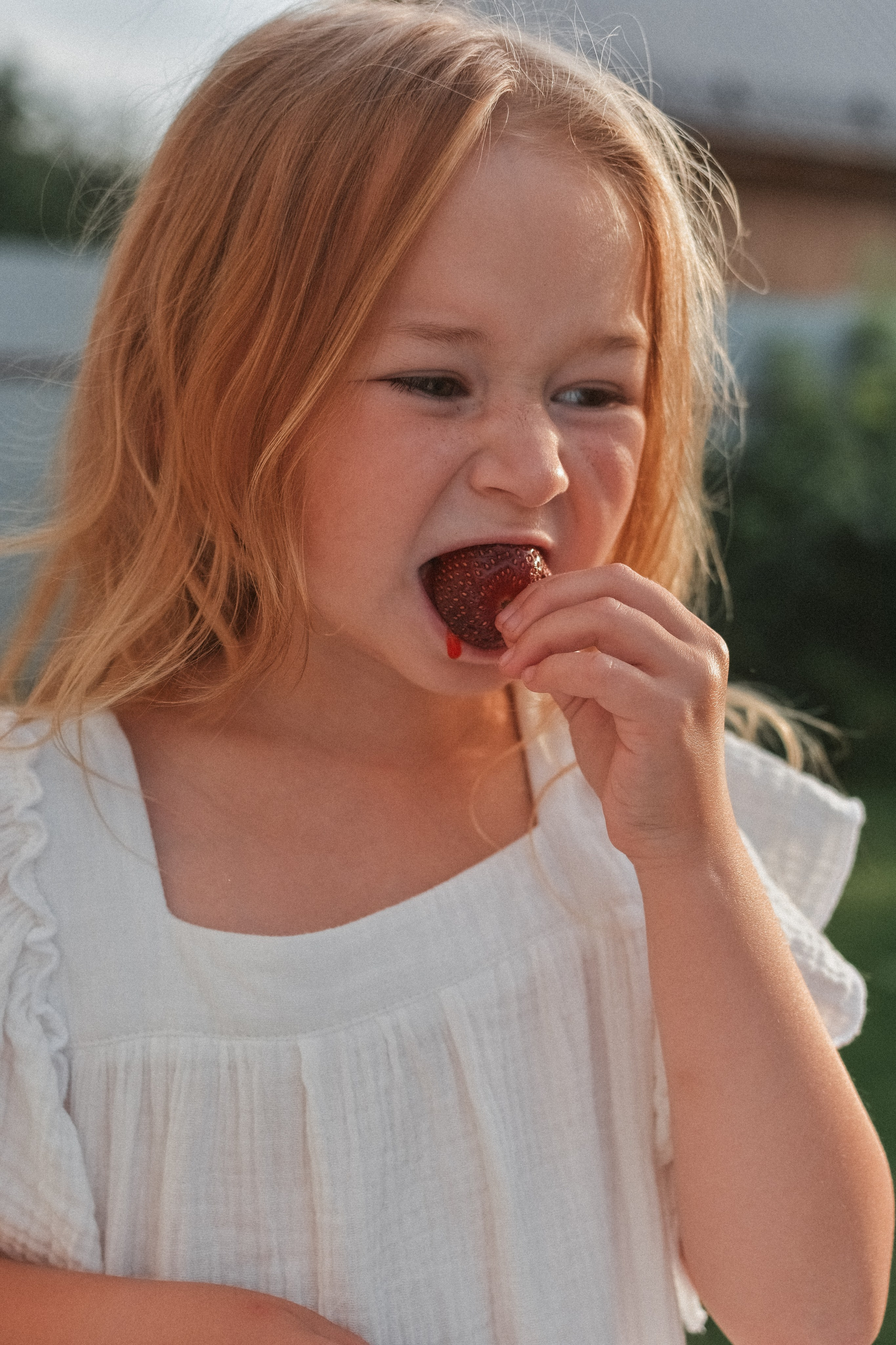 История одного вечера. Семейная серия. Alenasokolowa.ru