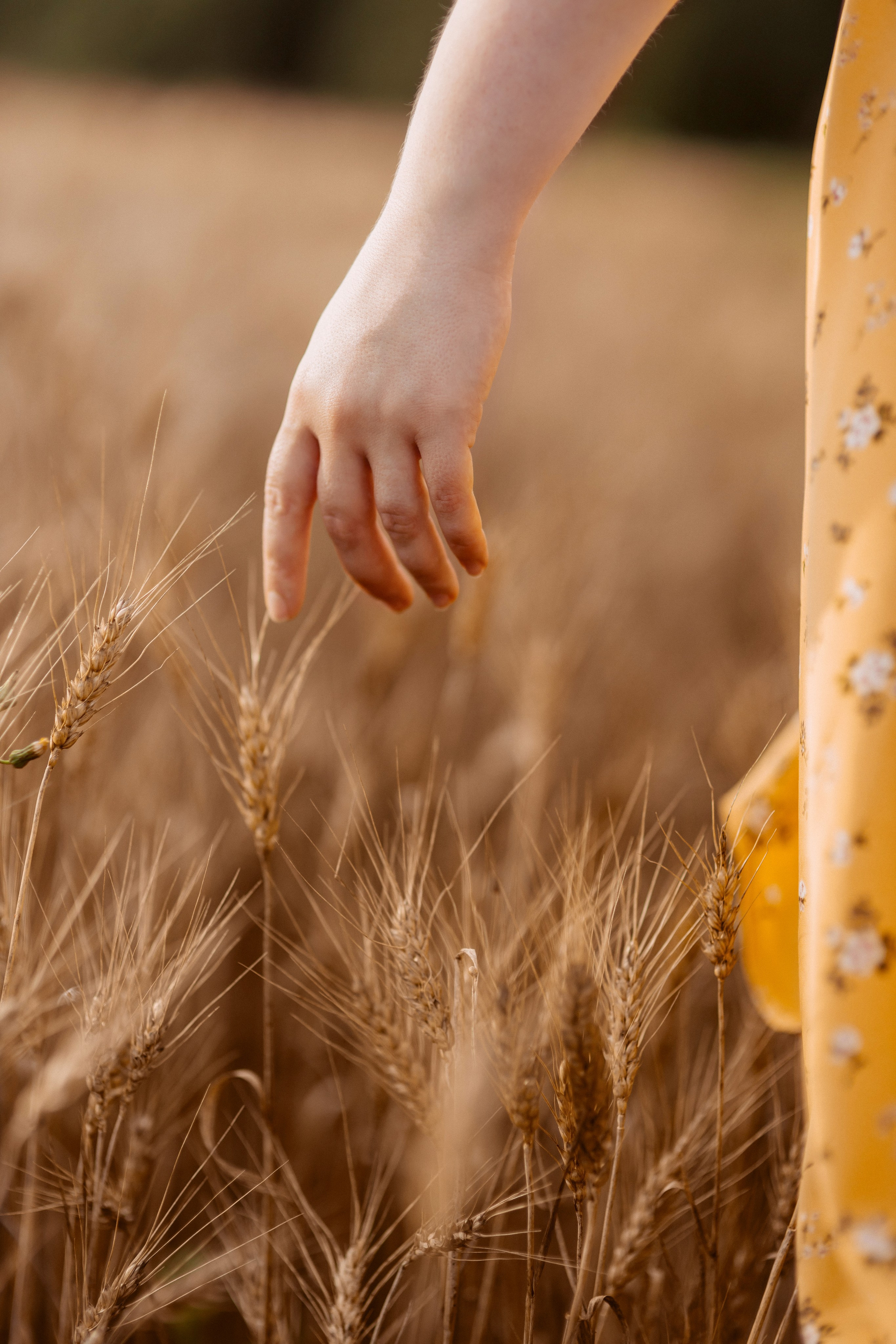 Екатерина. Главная