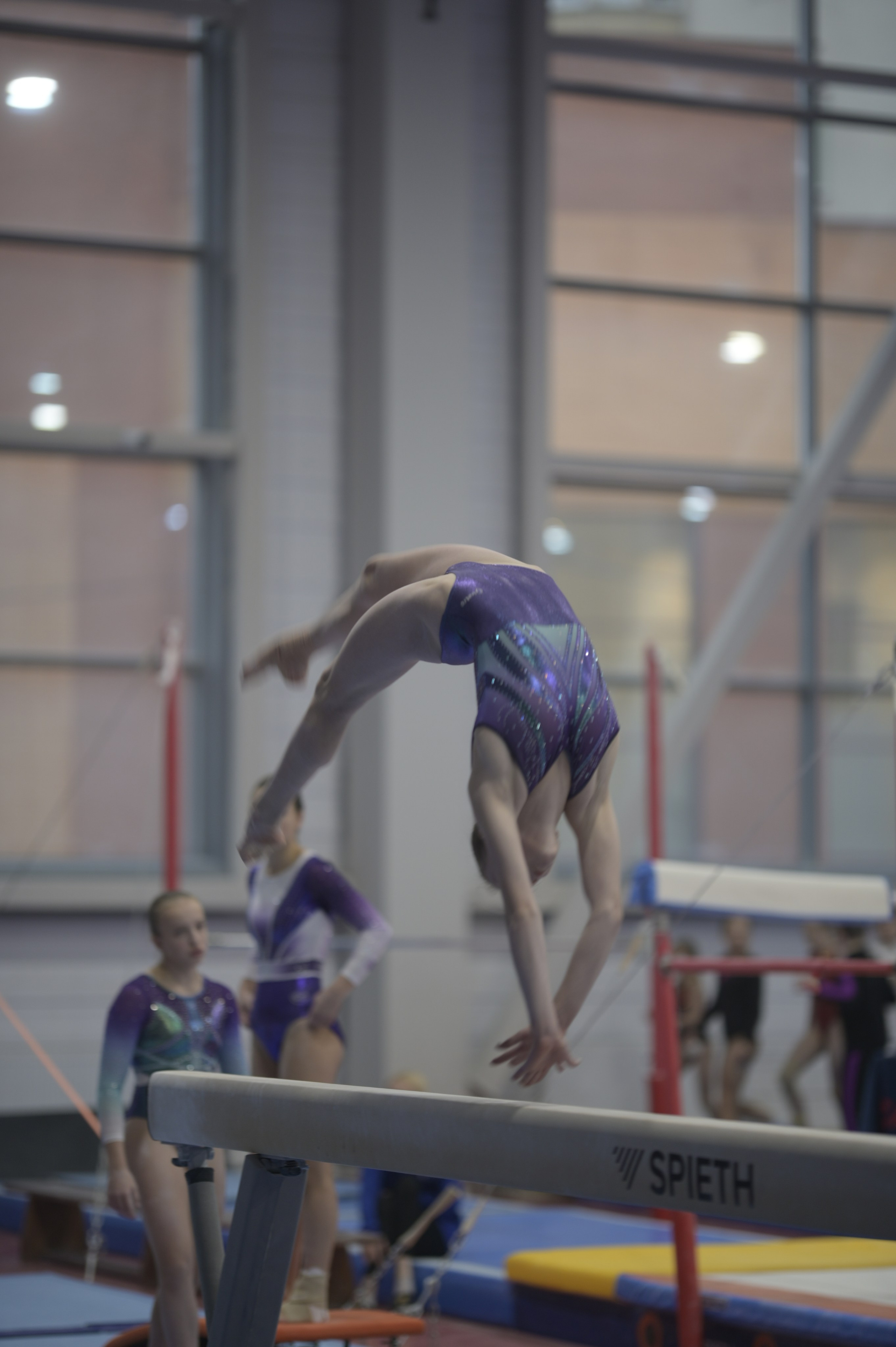 Турнир по спортивной гимнастике Е. М. Замолодчиковой. Фотограф Ваших событий 📸