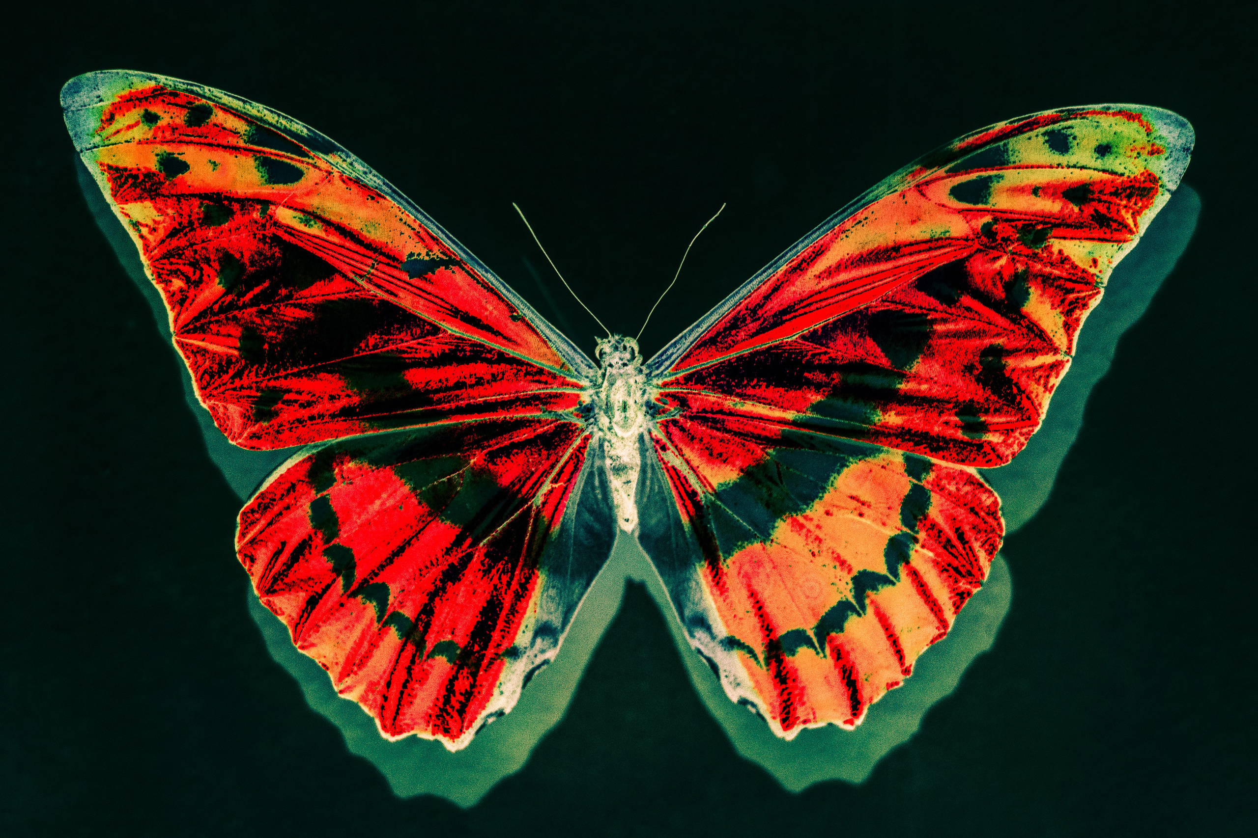 Я буду там, где вечность. Анна Полонеева фотография фотохудожник визуальная художница портреты