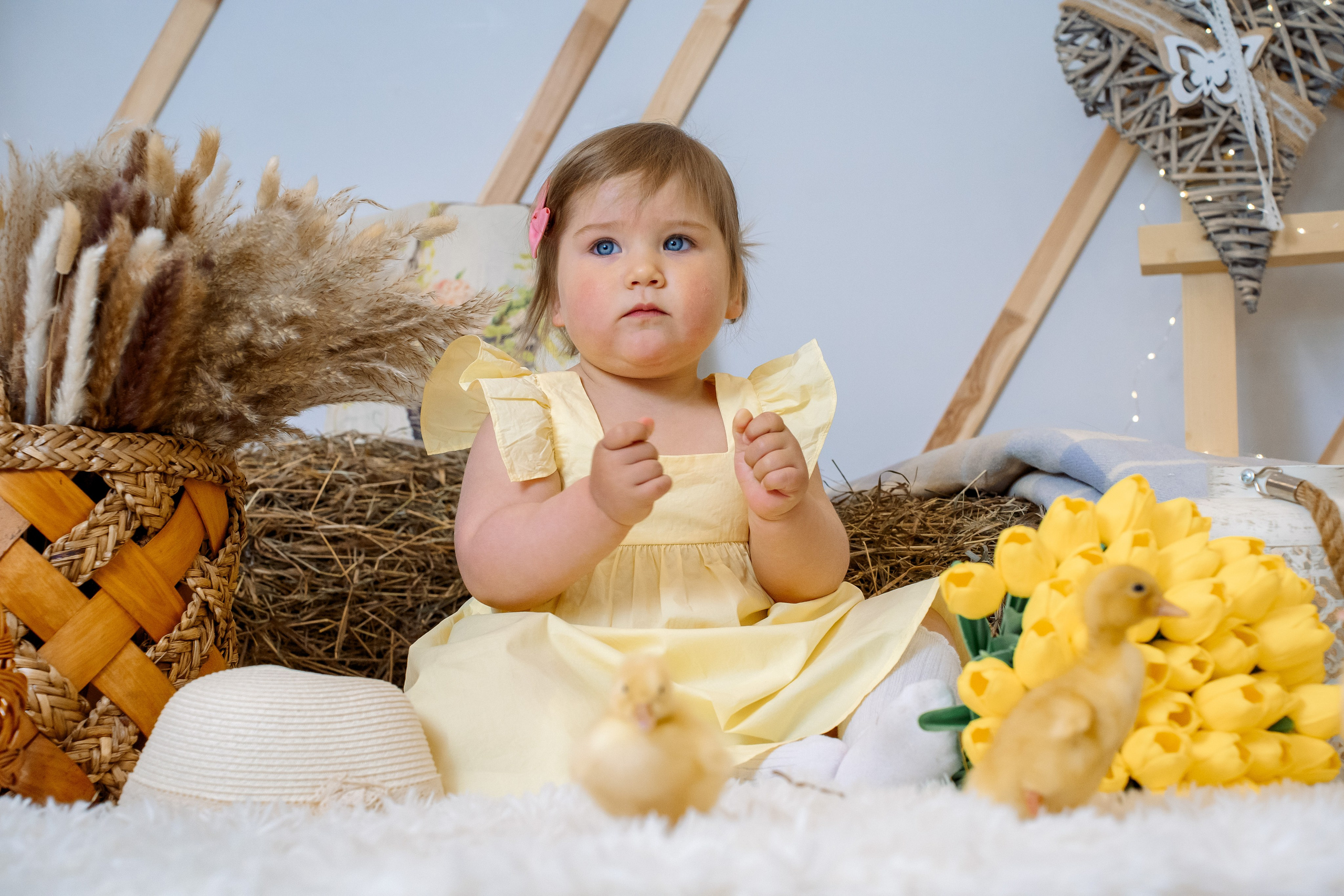 Утята. Фотограф Казакова Анастасия