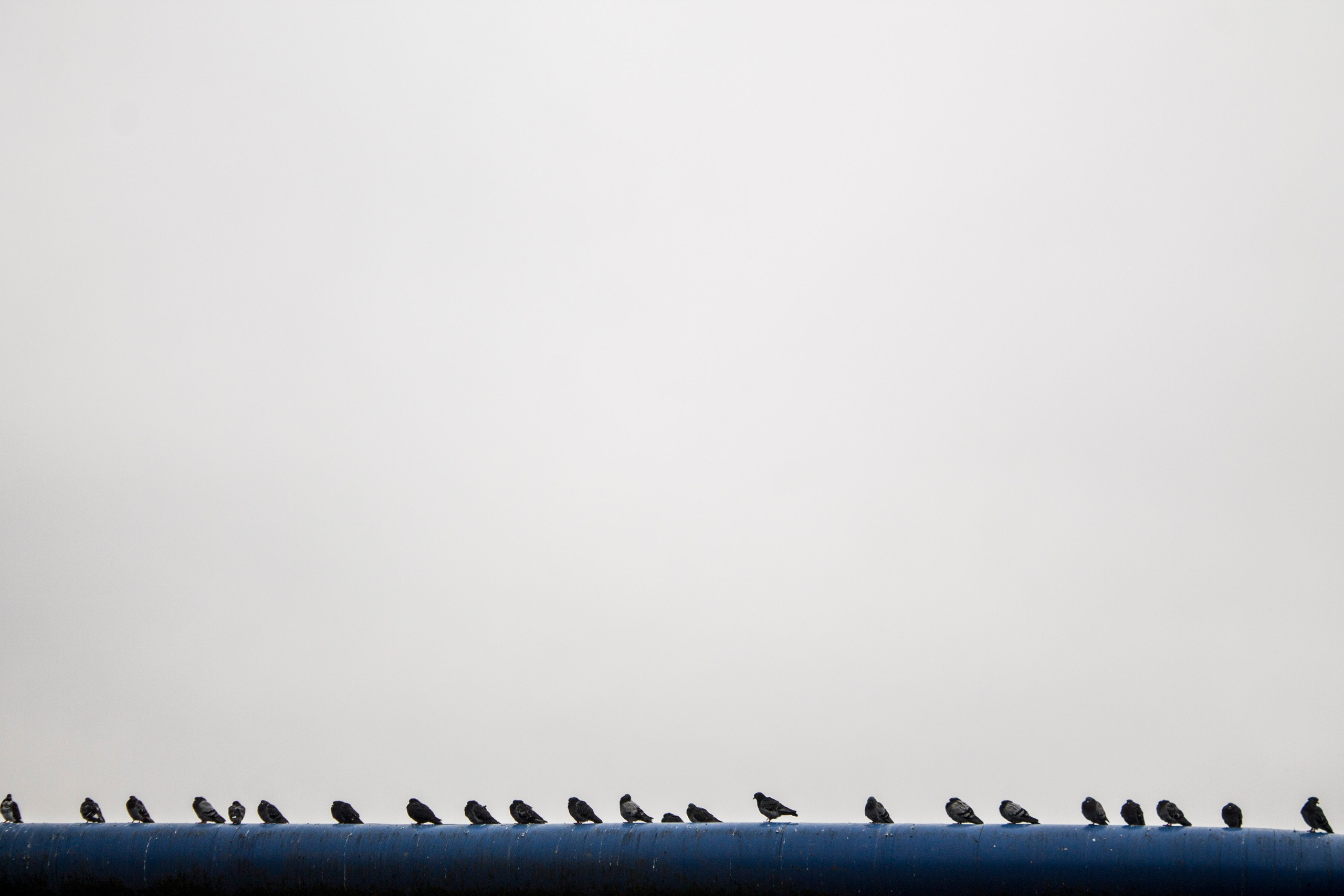 Мои первые работы. Фотограф из Москвы — DASHA NOVA | Авторская фотография в разных жанрах