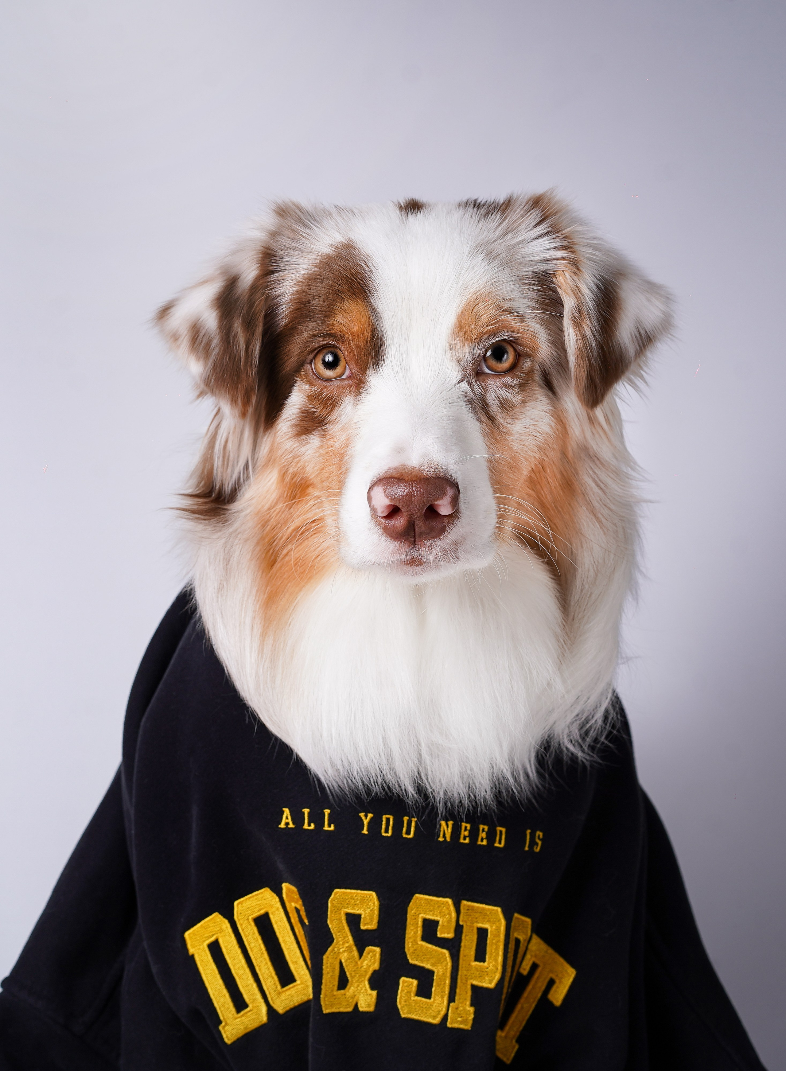 Юни и Панда. Фотограф-анималист в Санкт-Петербурге Яна Мартынова