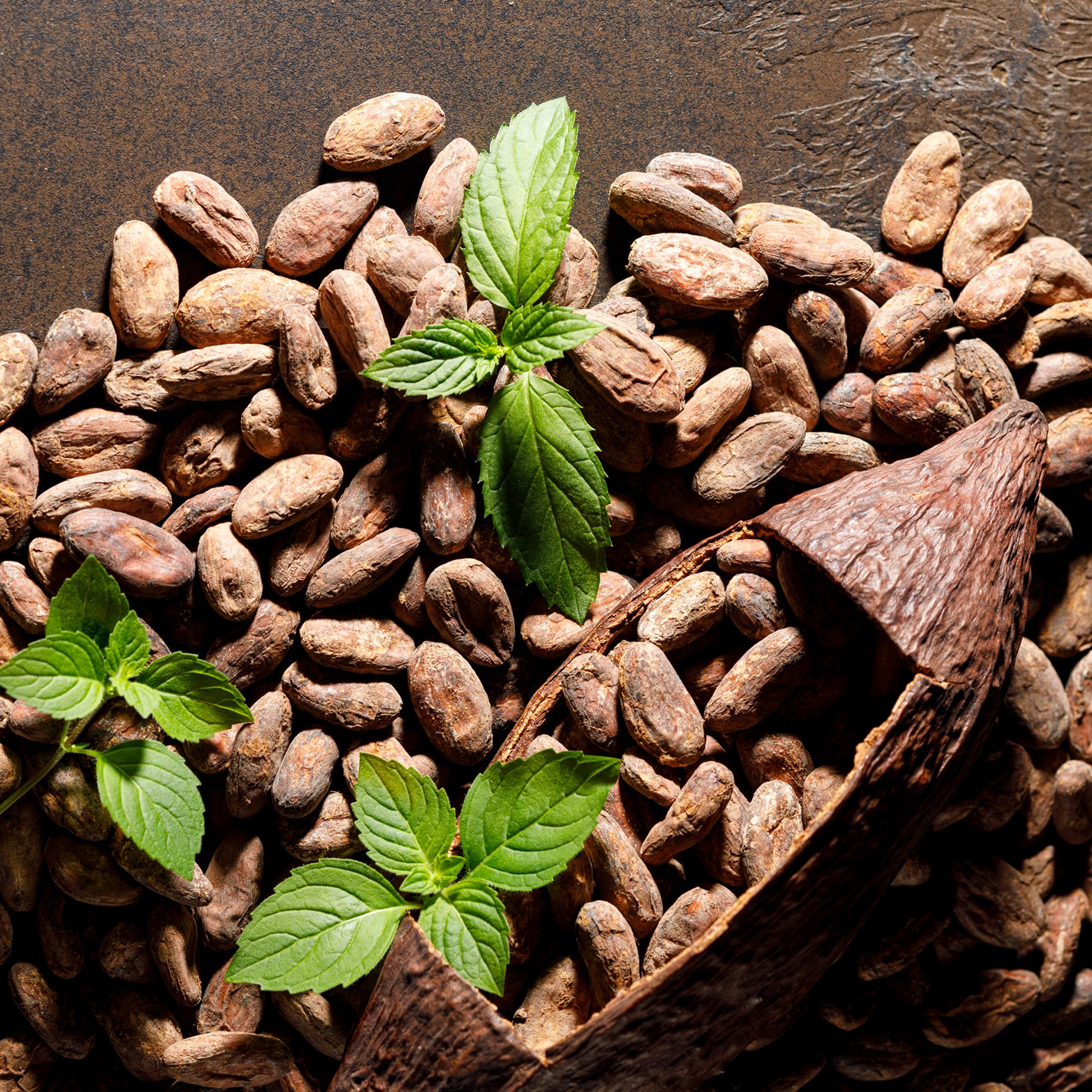 Шоколад. Фуд и предметный фотограф Гришина Ольга