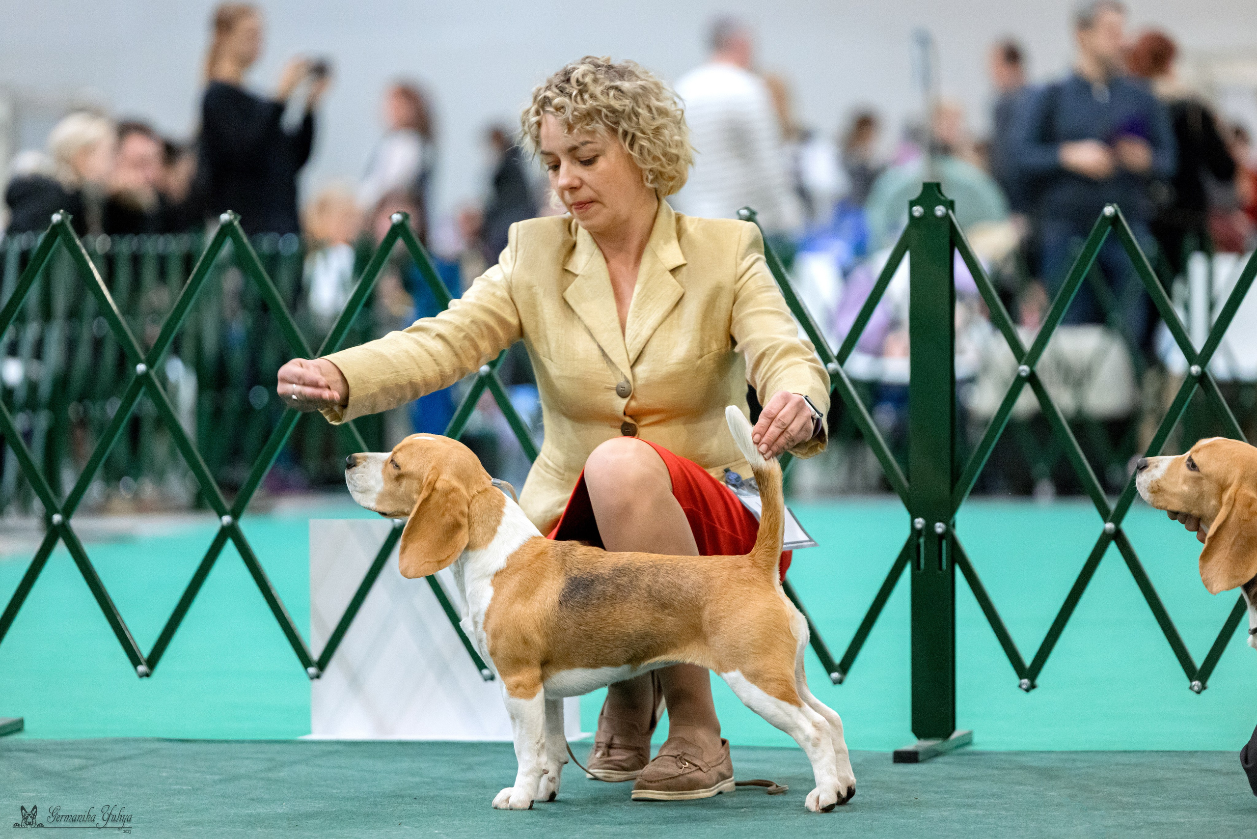 Сфера 29.10,Крокус 4.11,Сфера 12.11.2023. Фотограф-анималист Юлия Германика