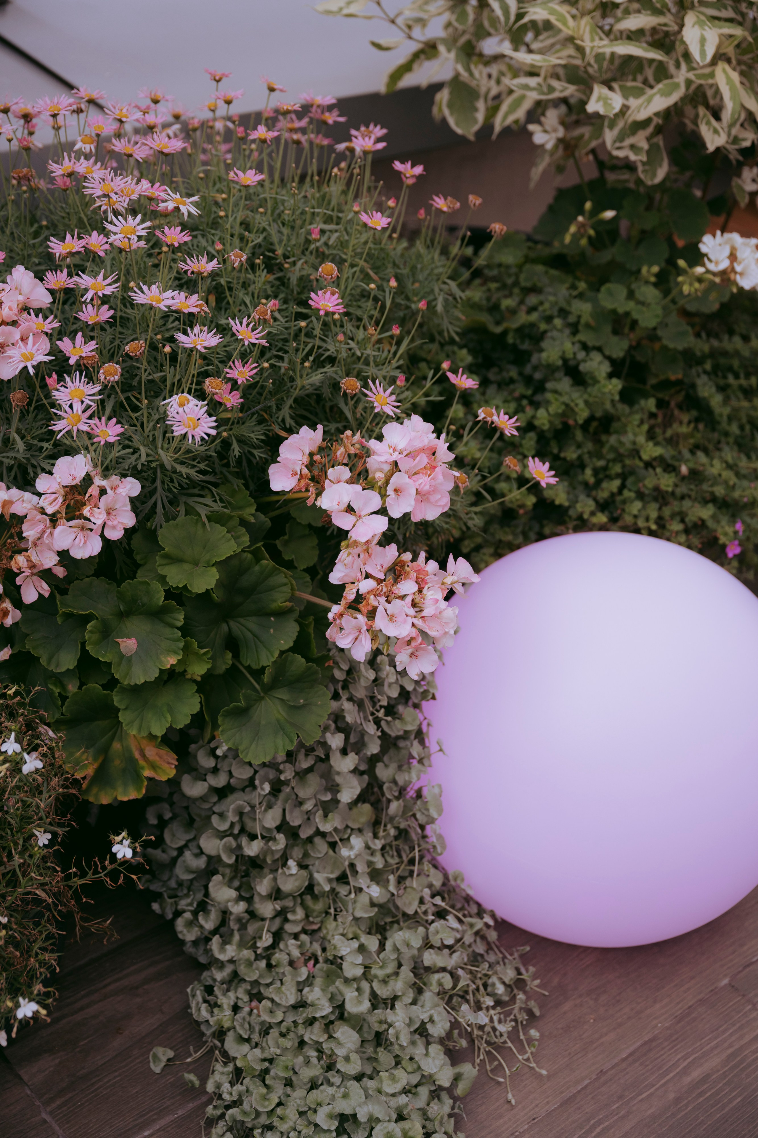 Бизнес ивенты. Фотограф в Москве