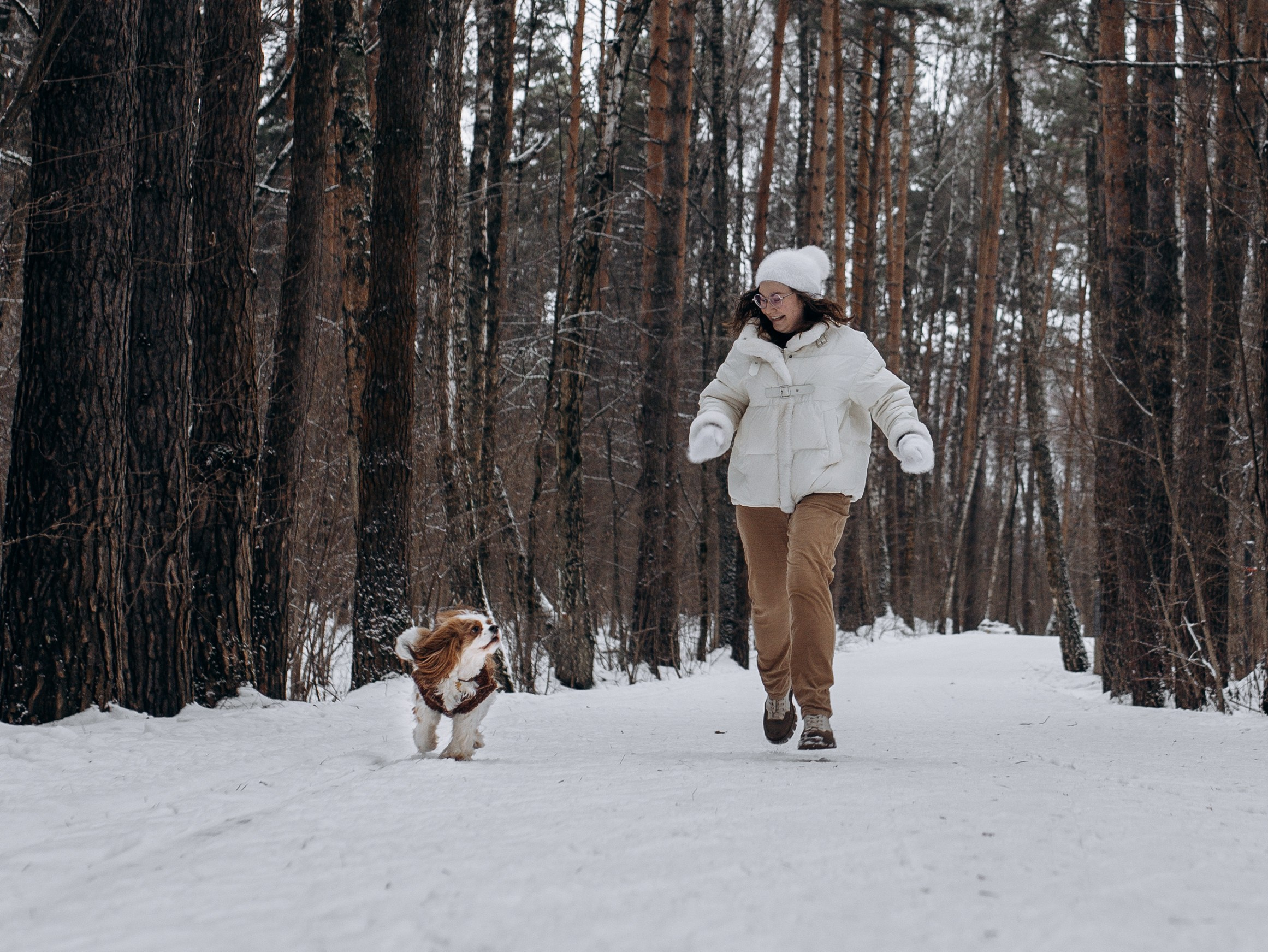 Дарси и Маша. Фотограф-анималист в Москве Кириллова Татьяна