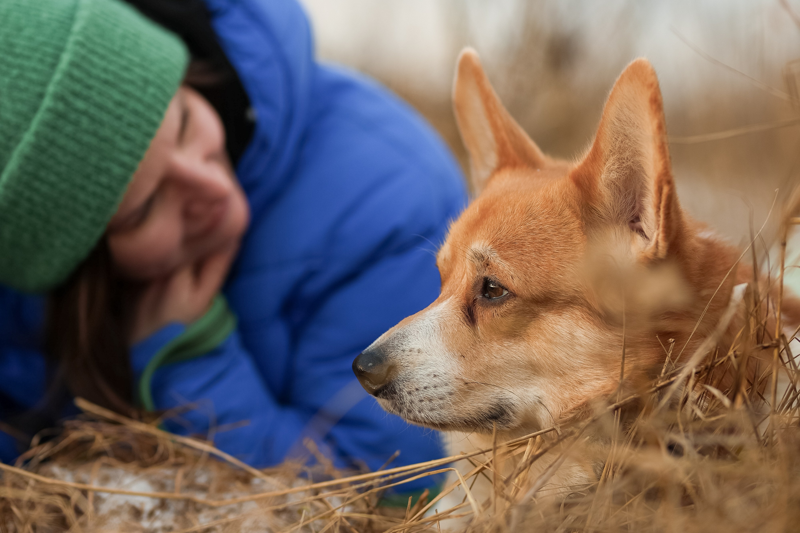 Трой, Балу и Катя. Фотограф-анималист в Москве Кириллова Татьяна