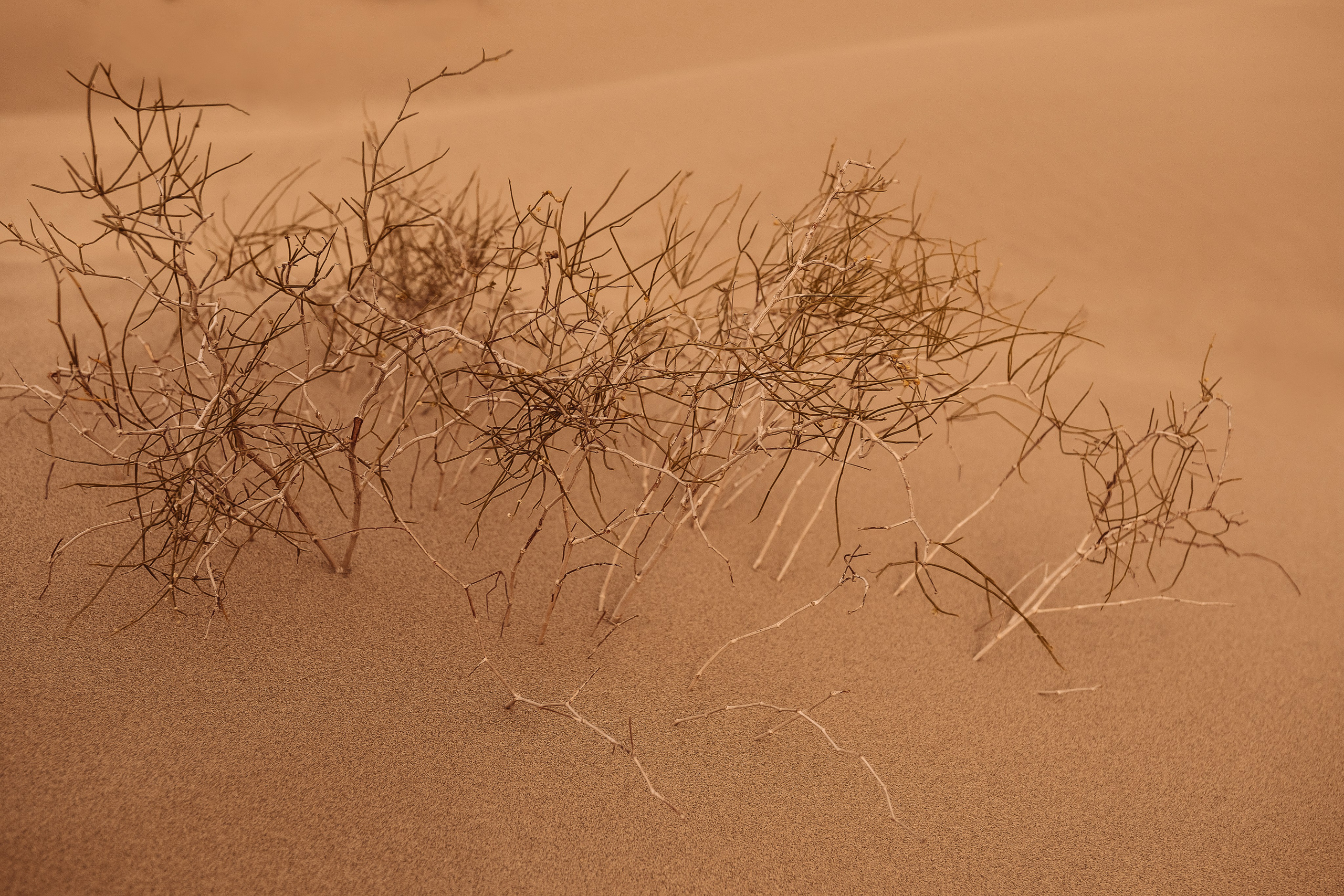 Жизнь. Фотограф Алматы | Весь мир — Никита Колодин