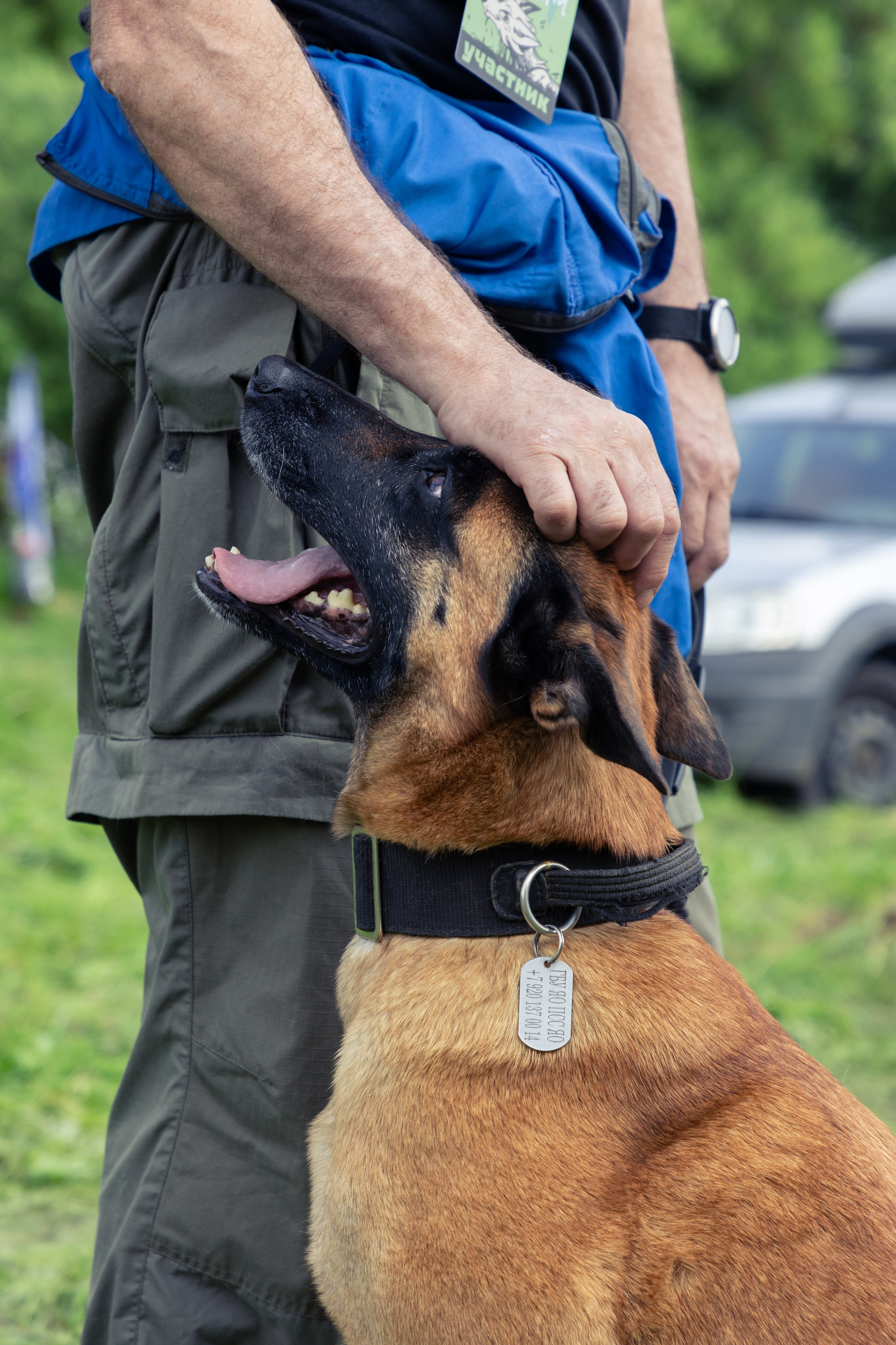 ДПСО «ЛизаАлерт». Главная
