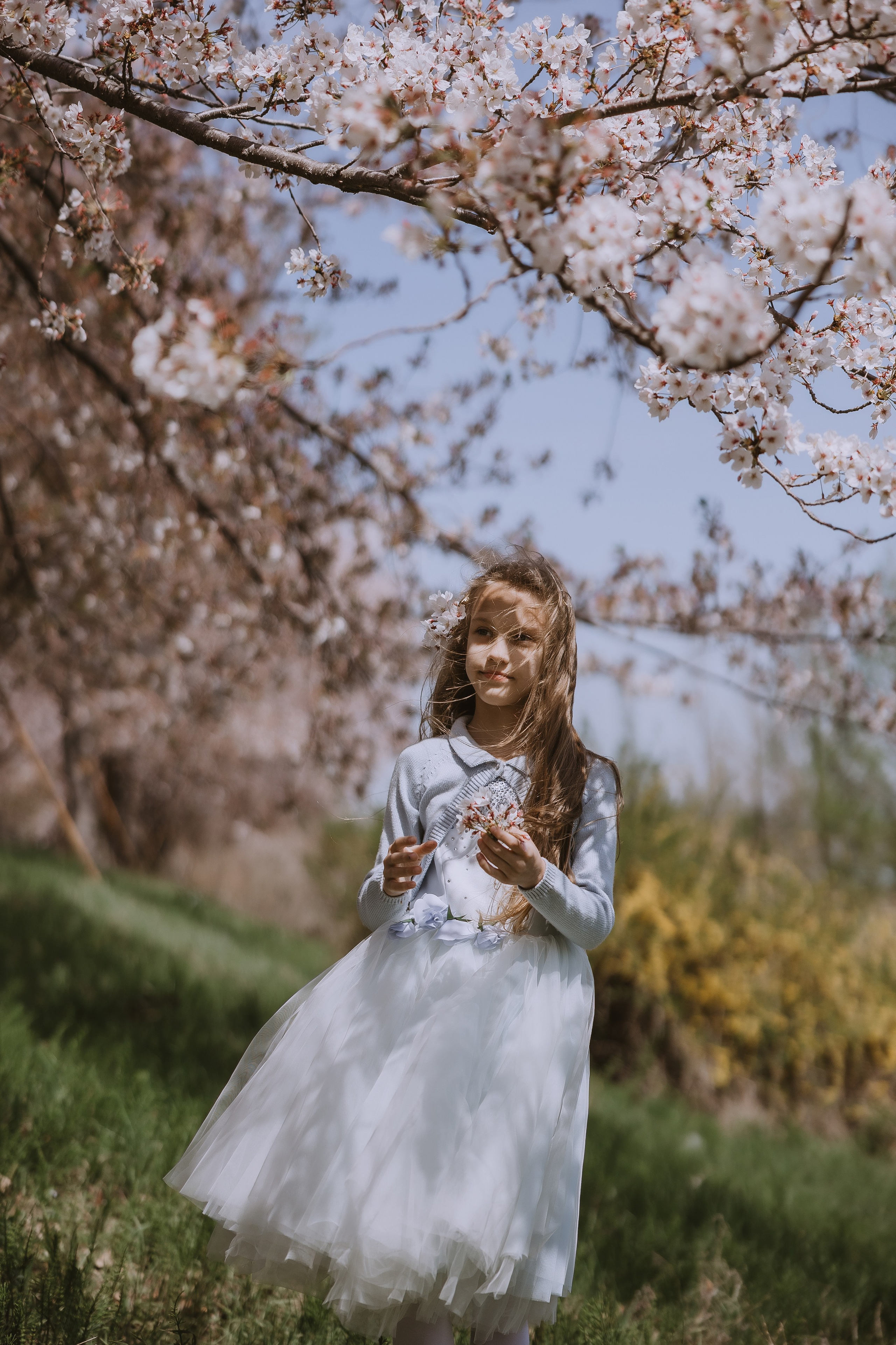 Beautiful girl at a photo shoot with sakura in Korea, Busan. Your photographer in Busan (South Korea) Aleksandra Anufriy
