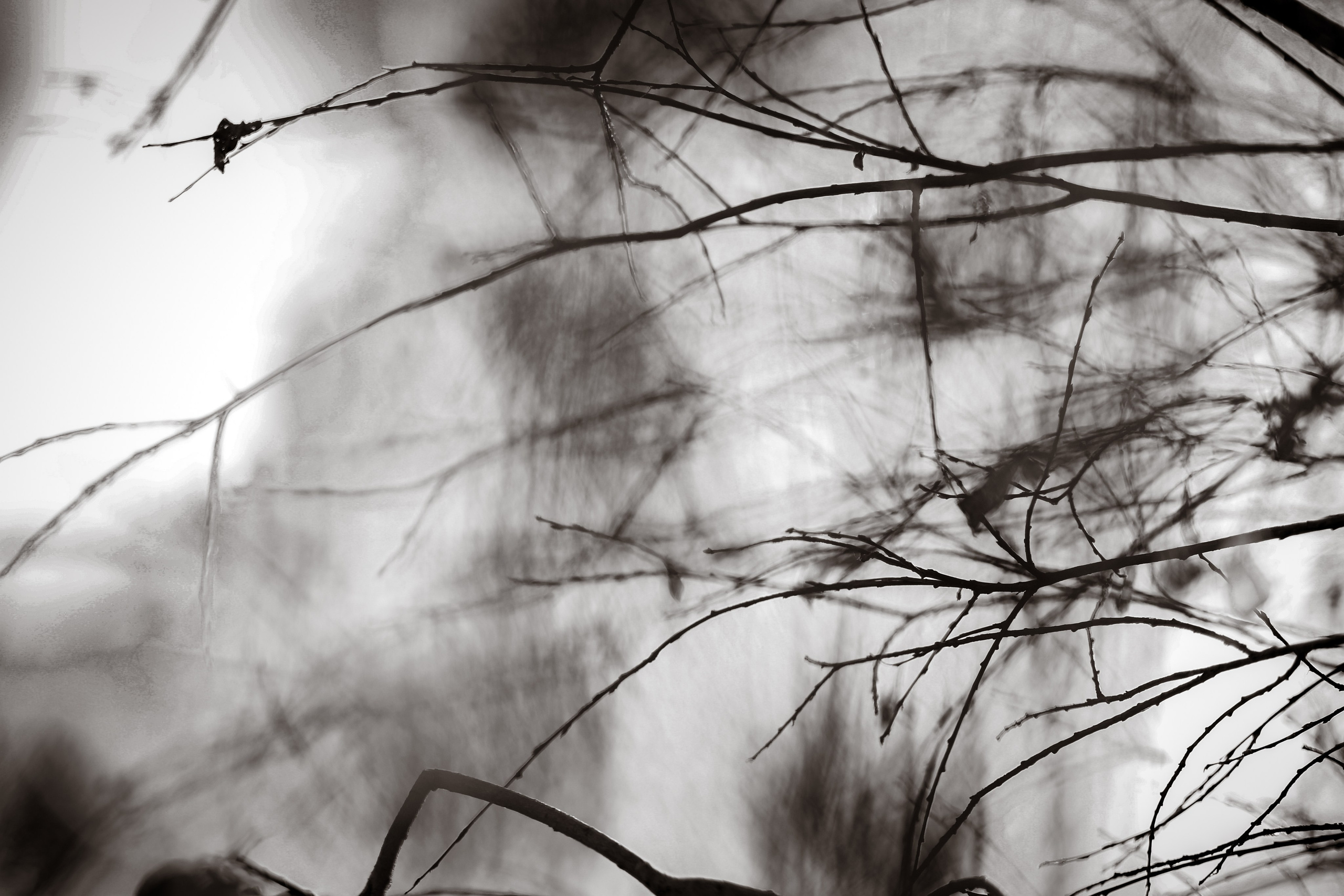 В ожидании Halloween. Art my Pho