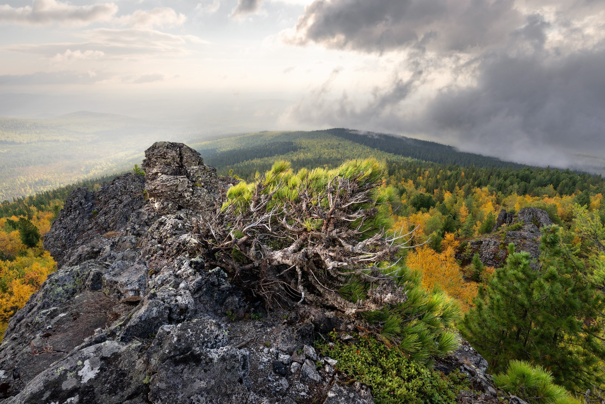 Туман на рассвете на горе Серебрянский Камень (Конжаковско-Серебрянский горный массив).