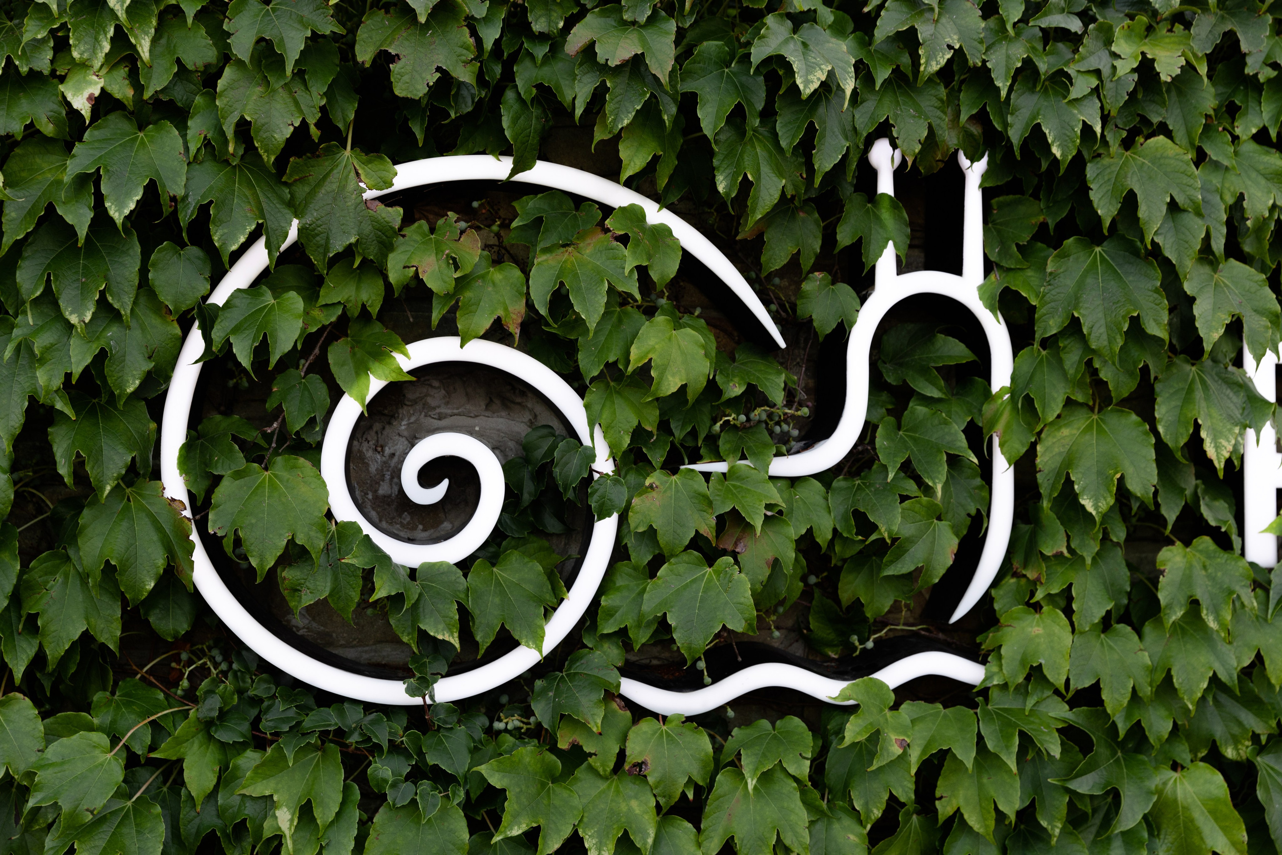 Репортаж. Свадебный и семейный фотограф Евгения Привалова. Новороссийск. Анапа