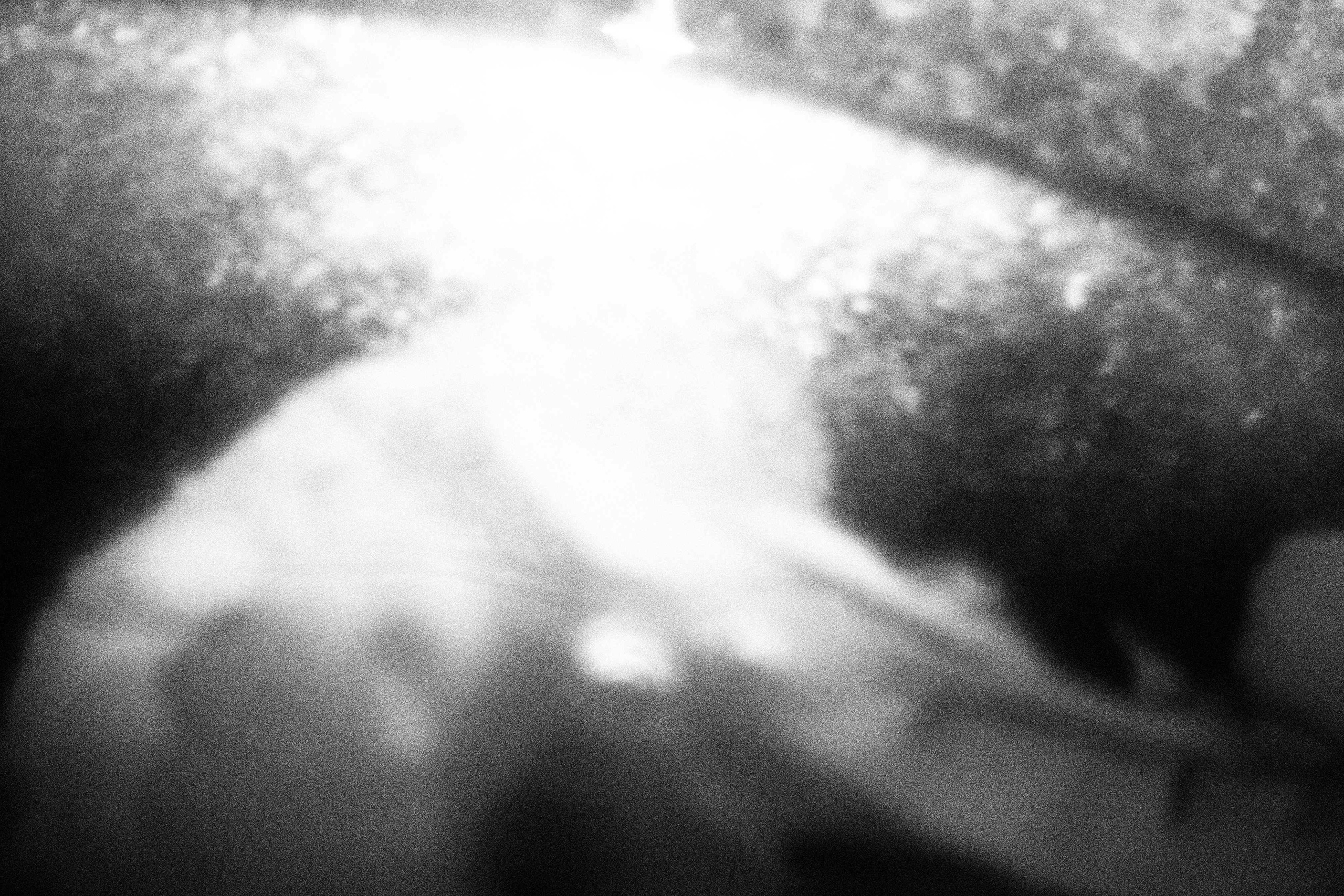 «Видеть. Чувствовать. Сохранять»