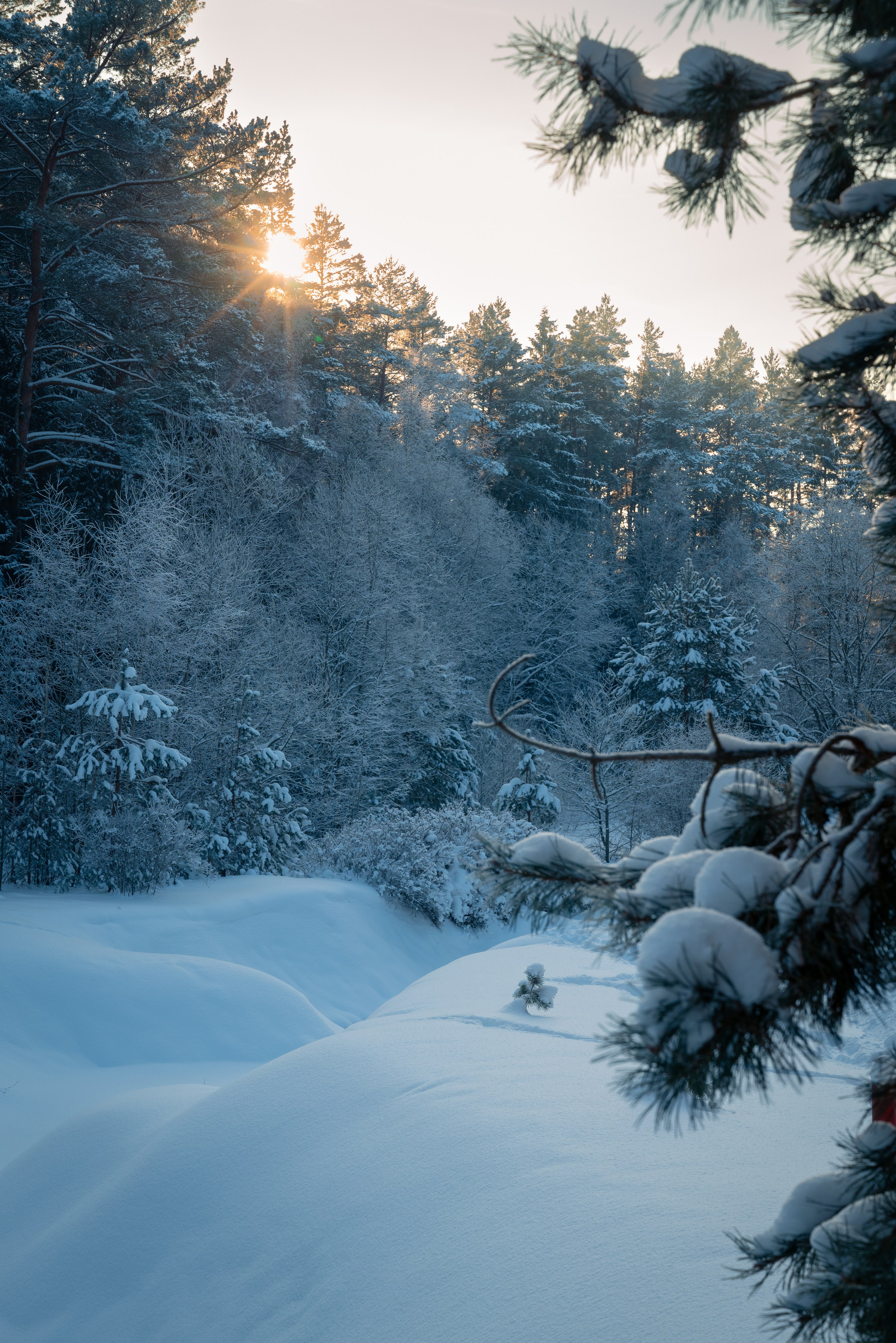 Места. Фотограф в Минске Дарья Кончакова